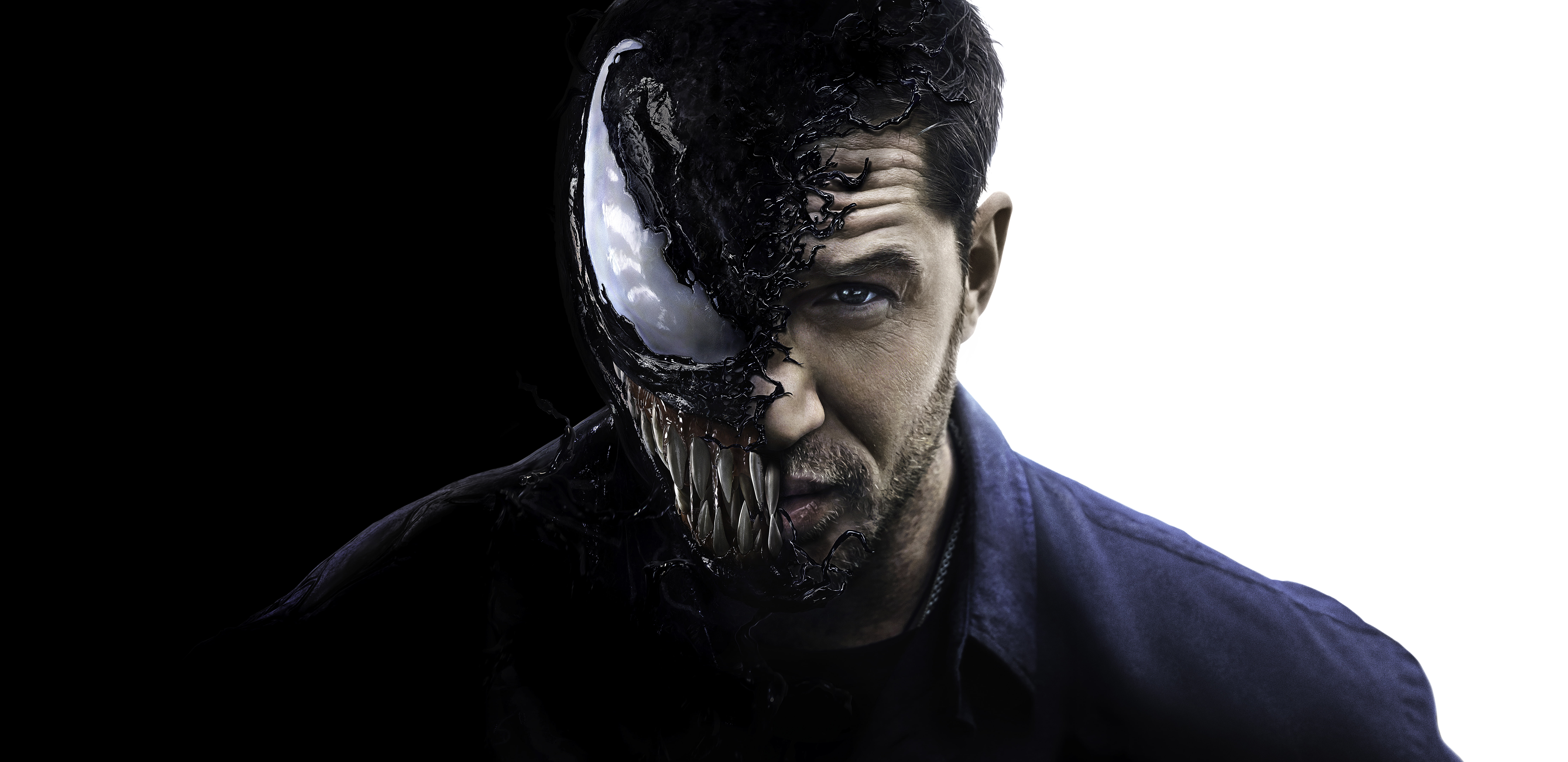 8K, Movie, Venom, Tom Hardy, HD Wallpaper