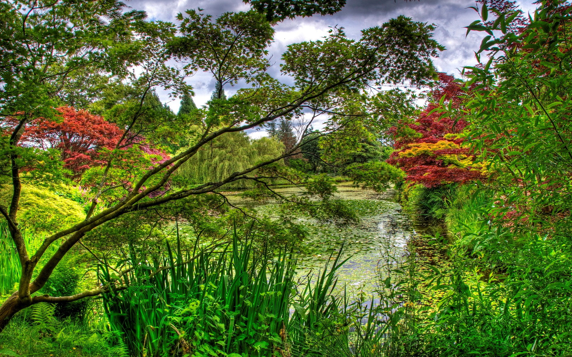 tranquil scene, green color, beauty in nature, day, idyllic, 1080P, plant, lake, outdoors, forest, reflection, change, tree, tranquility, scenics - nature, HD Wallpaper