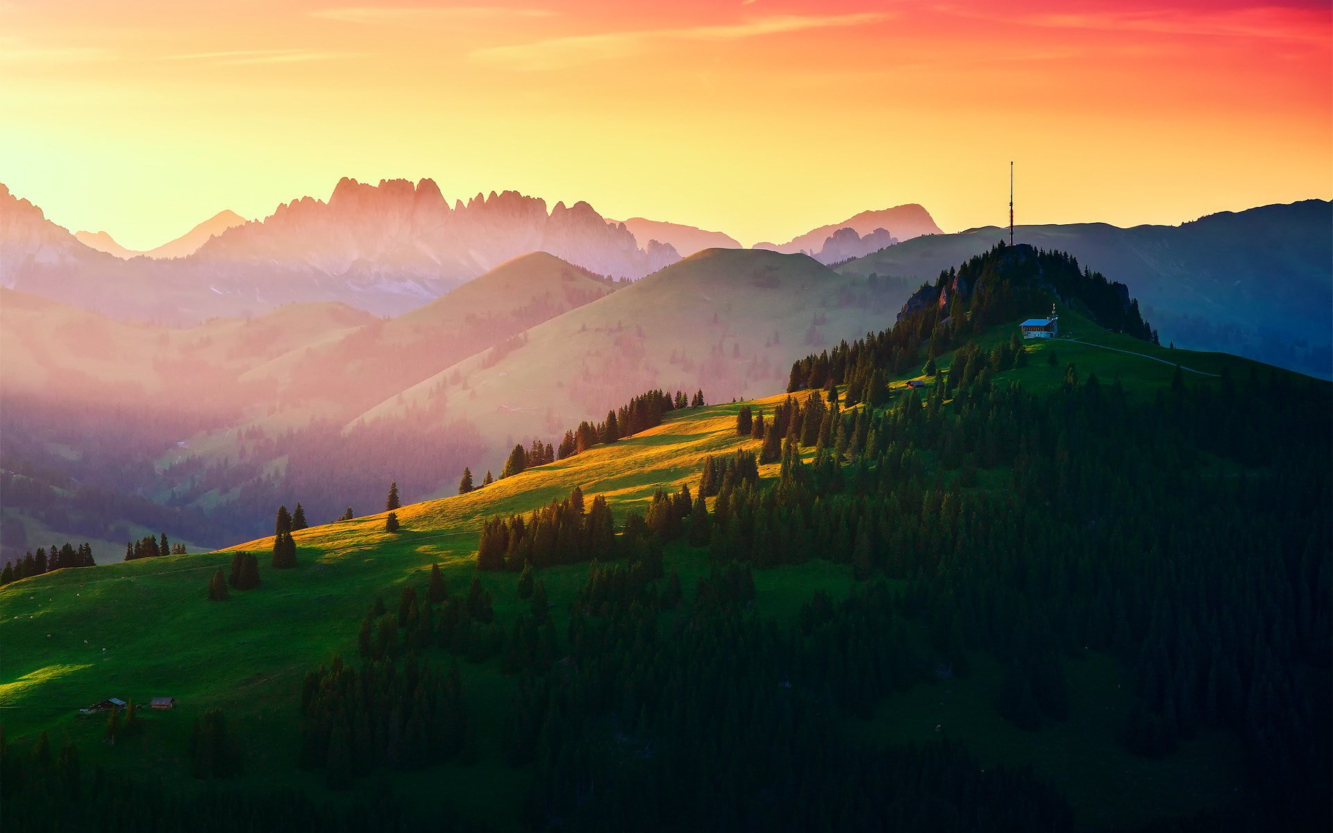 plant, beauty in nature, no people, nature, field, green color, non-urban scene, land, mountain, nature screen backgrounds 1920x1200, 1080P, tranquil scene, HD Wallpaper