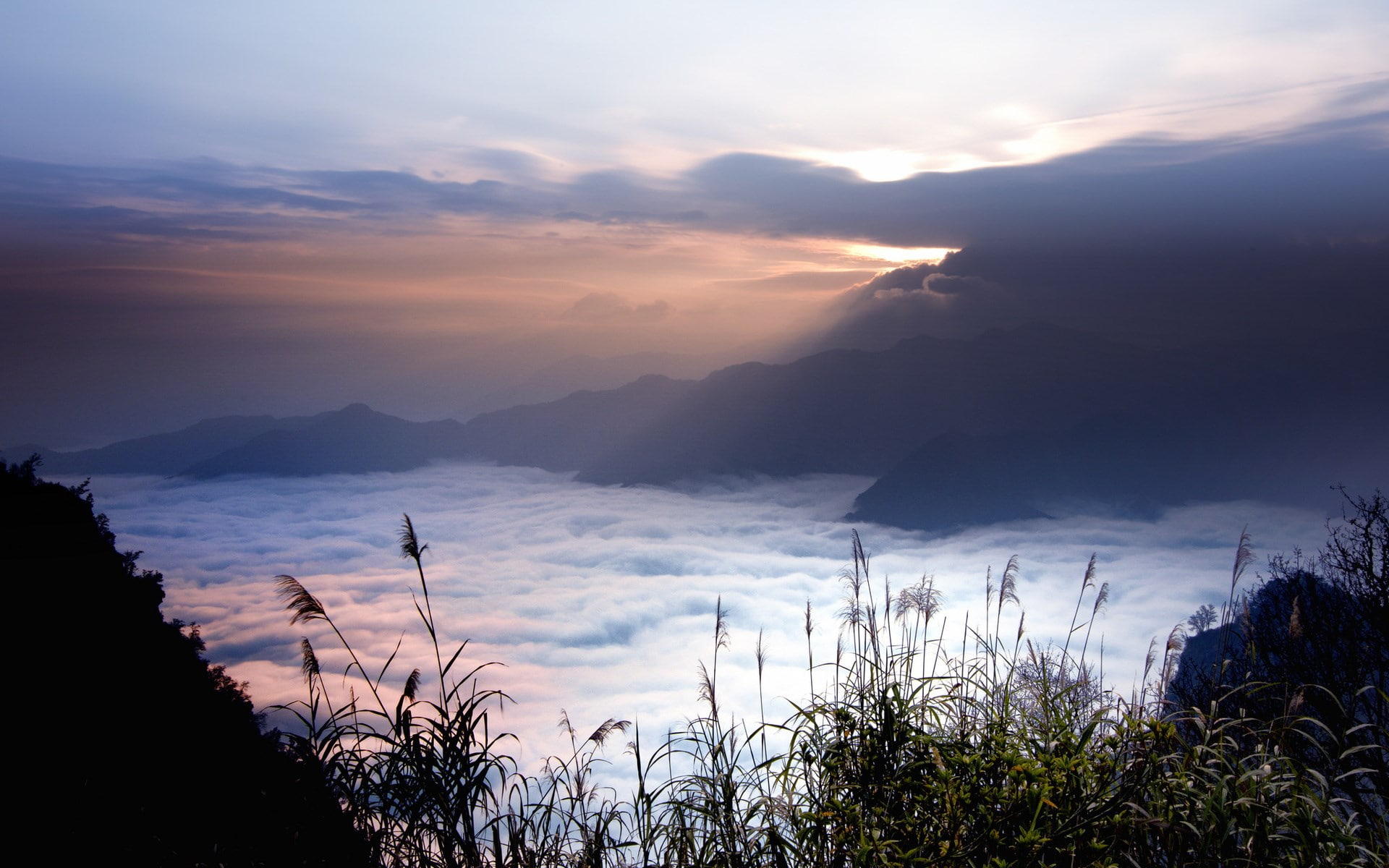 1080P, nature screen backgrounds 1920x1200, HD Wallpaper