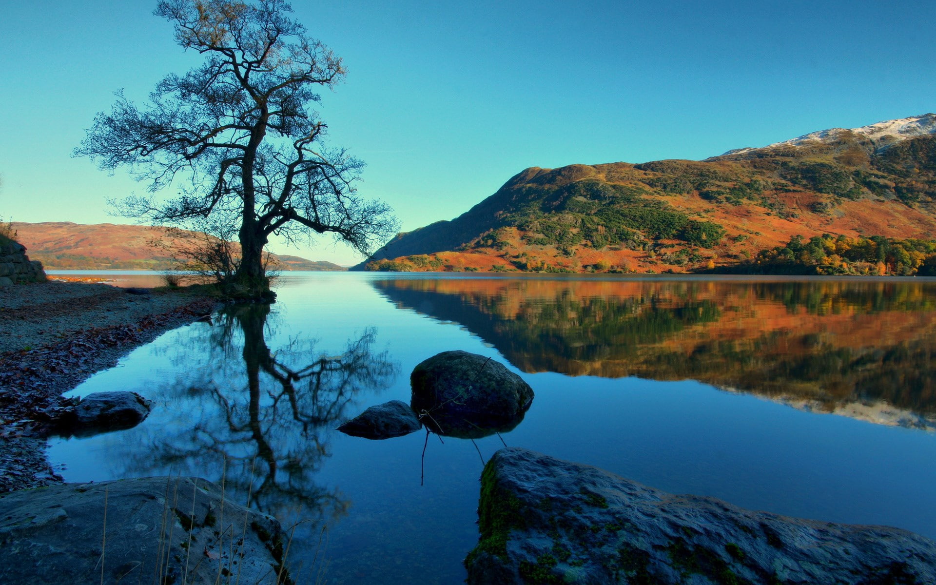no people, nature, tranquility, tranquil scene, day, nature screen backgrounds 1920x1200, lake, scenics - nature, rock, 1080P, clear sky, tree, blue, water, HD Wallpaper