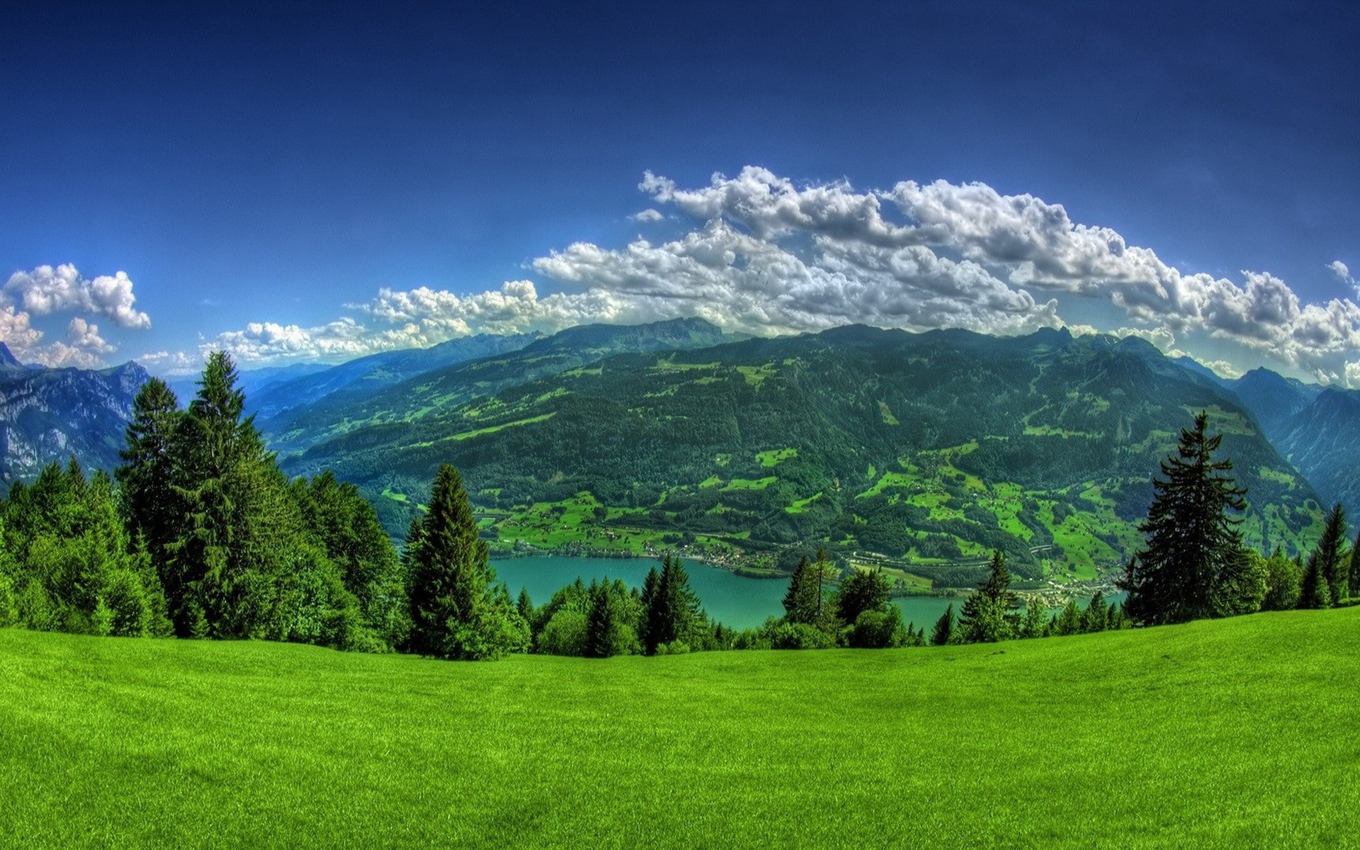field, tranquil scene, 1080P, tranquility, sky, growth, nature, idyllic, no people, grass, plant, green color, hd desktop backgrounds nature 1920x1200, HD Wallpaper