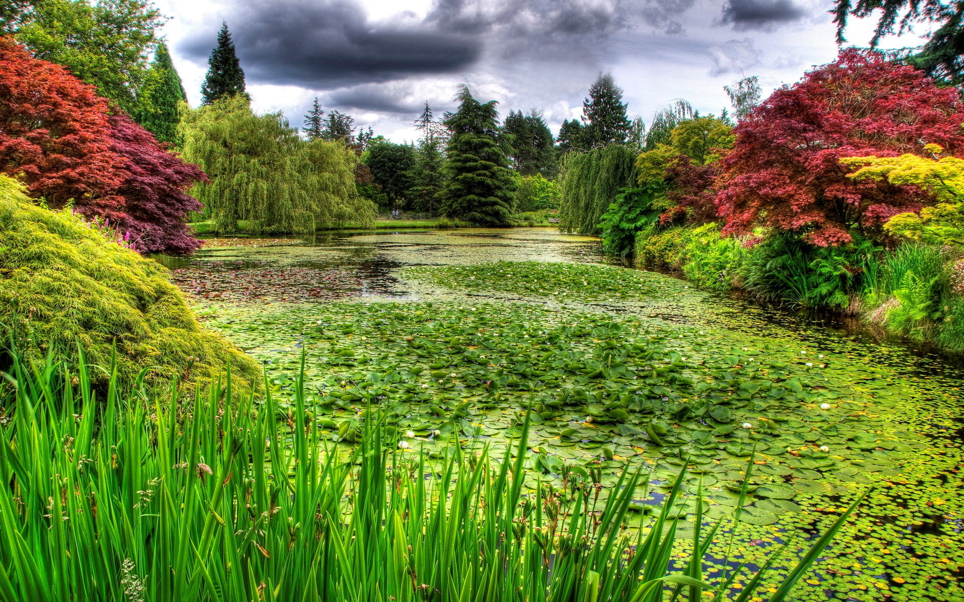 day, outdoors, tranquility, landscape, hd desktop backgrounds nature 1920x1200, green color, tree, beauty in nature, scenics - nature, land, cloud - sky, HD Wallpaper