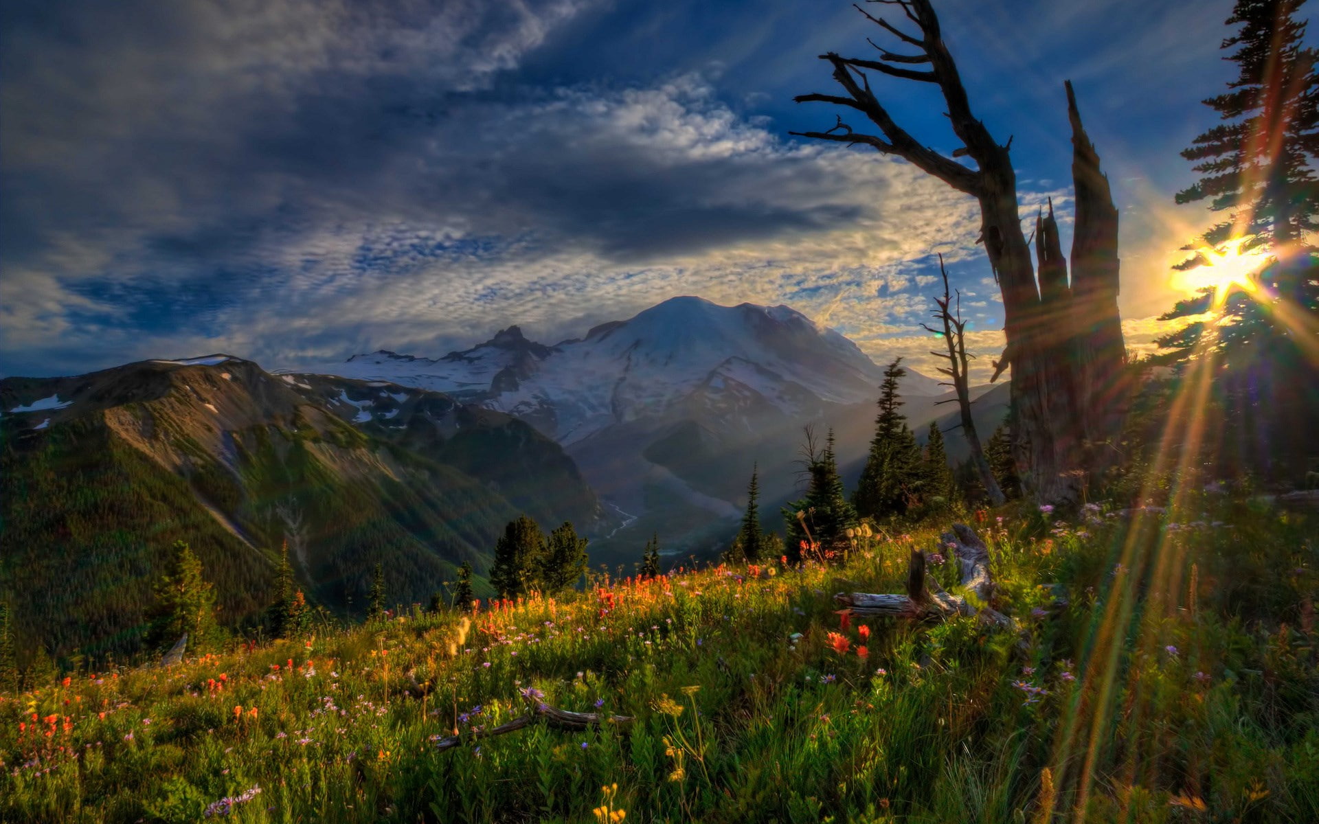 computer  desktop background hd nature  1920x1200, 1080P, HD Wallpaper