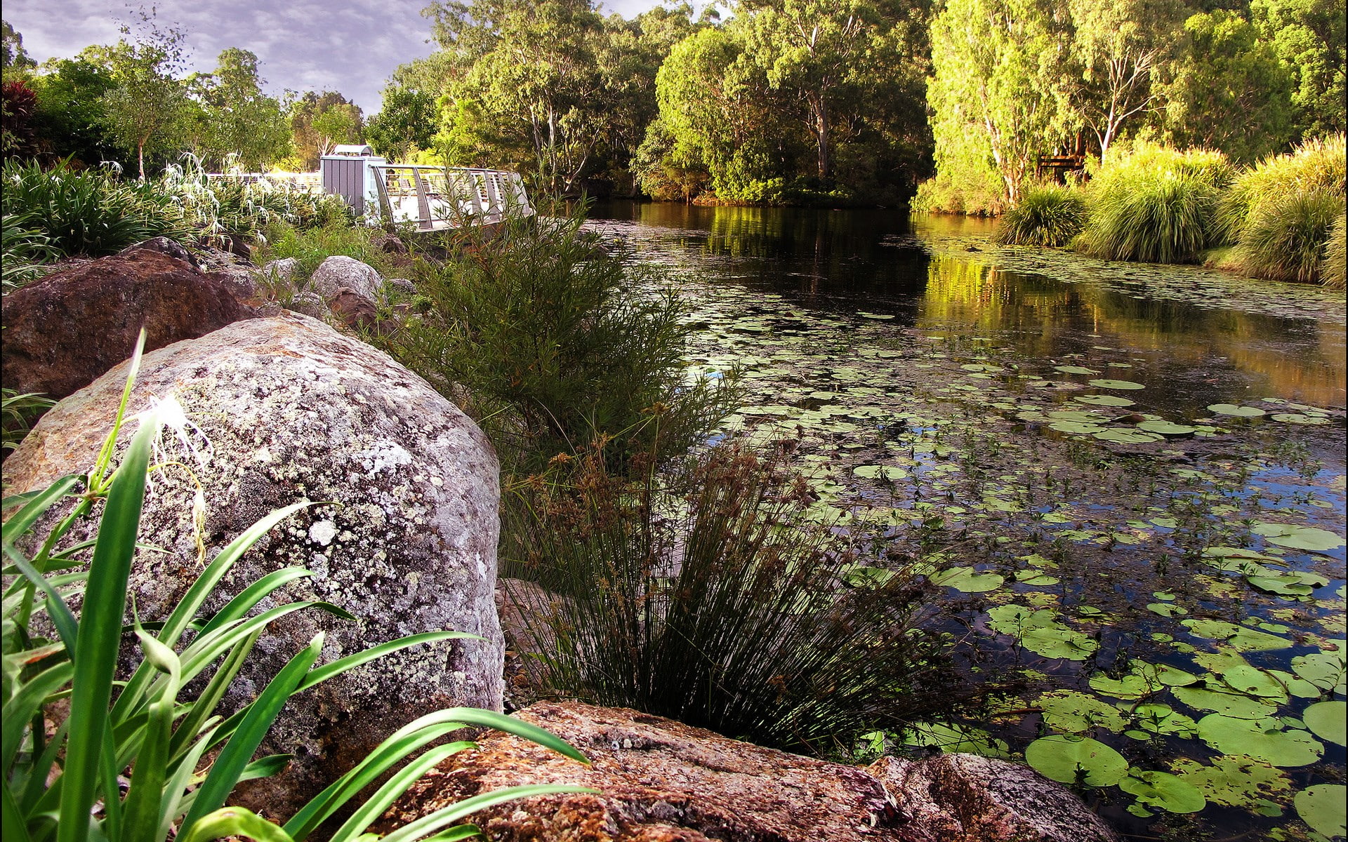 beauty in nature, rock, tranquil scene, flowing, outdoors, computer desktop backgrounds hd nature 1920x1200, land, river, scenics - nature, 1080P, nature, HD Wallpaper