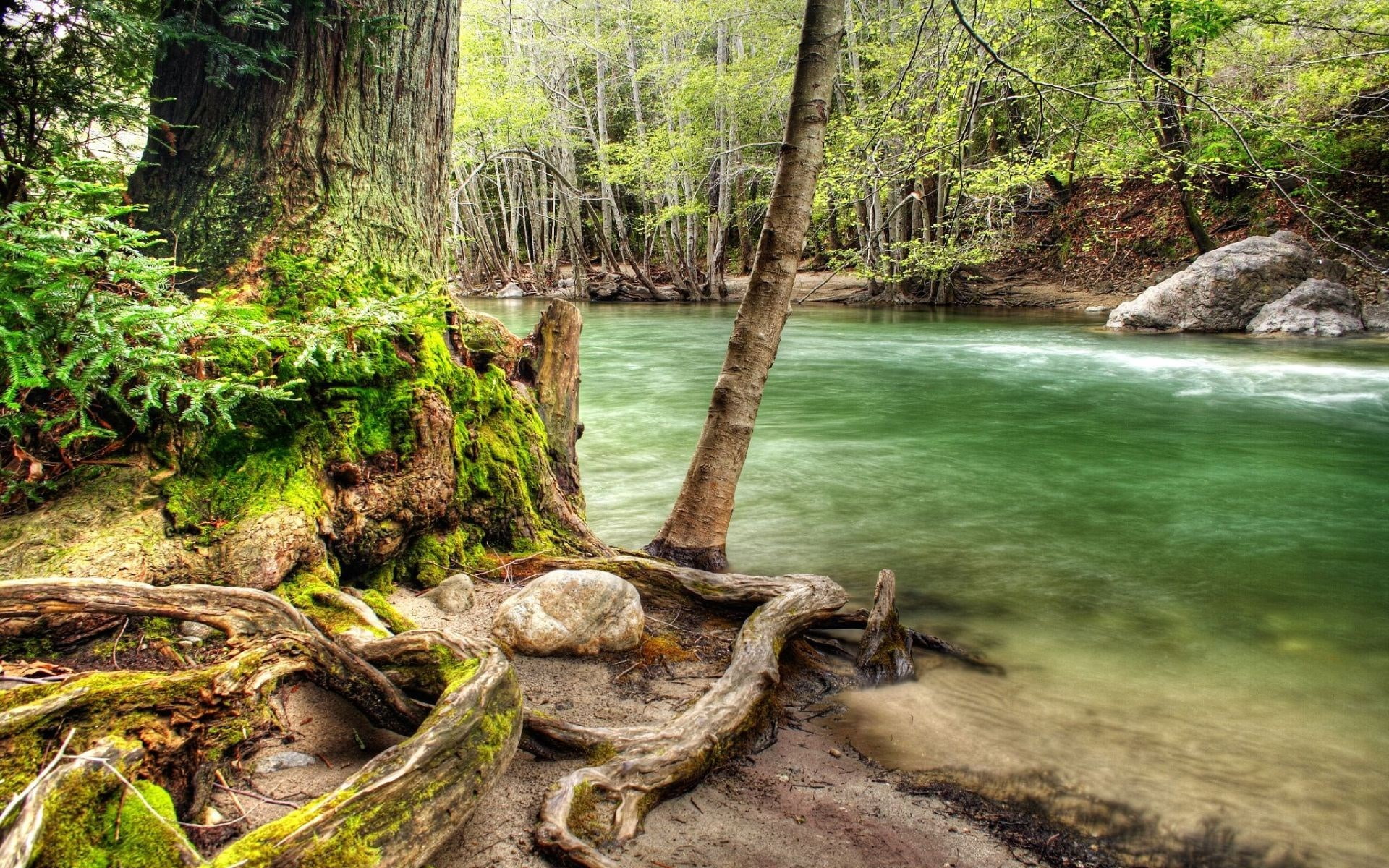 background hd nature pics 1920x1200, 1080P, HD Wallpaper