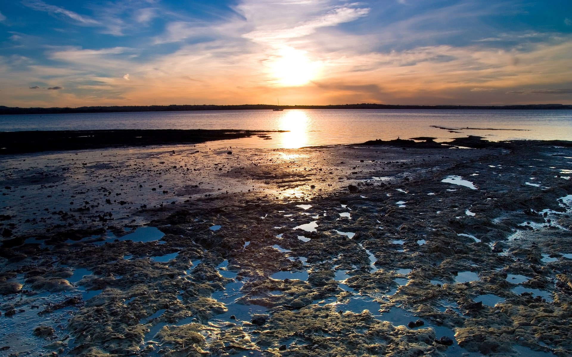 1080P, background hd nature pics 1920x1200, HD Wallpaper