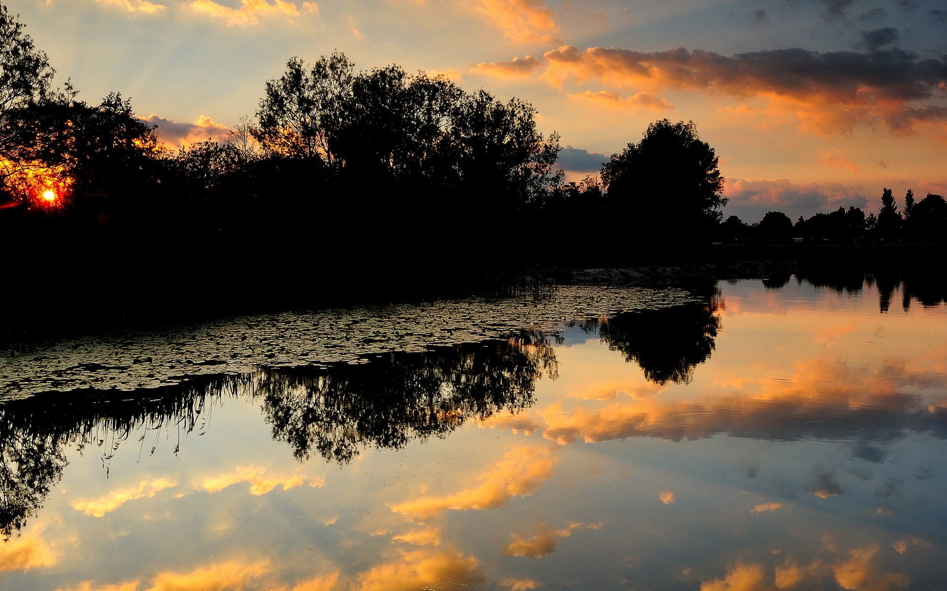 background hd nature pics 1920x1200, 1080P, HD Wallpaper