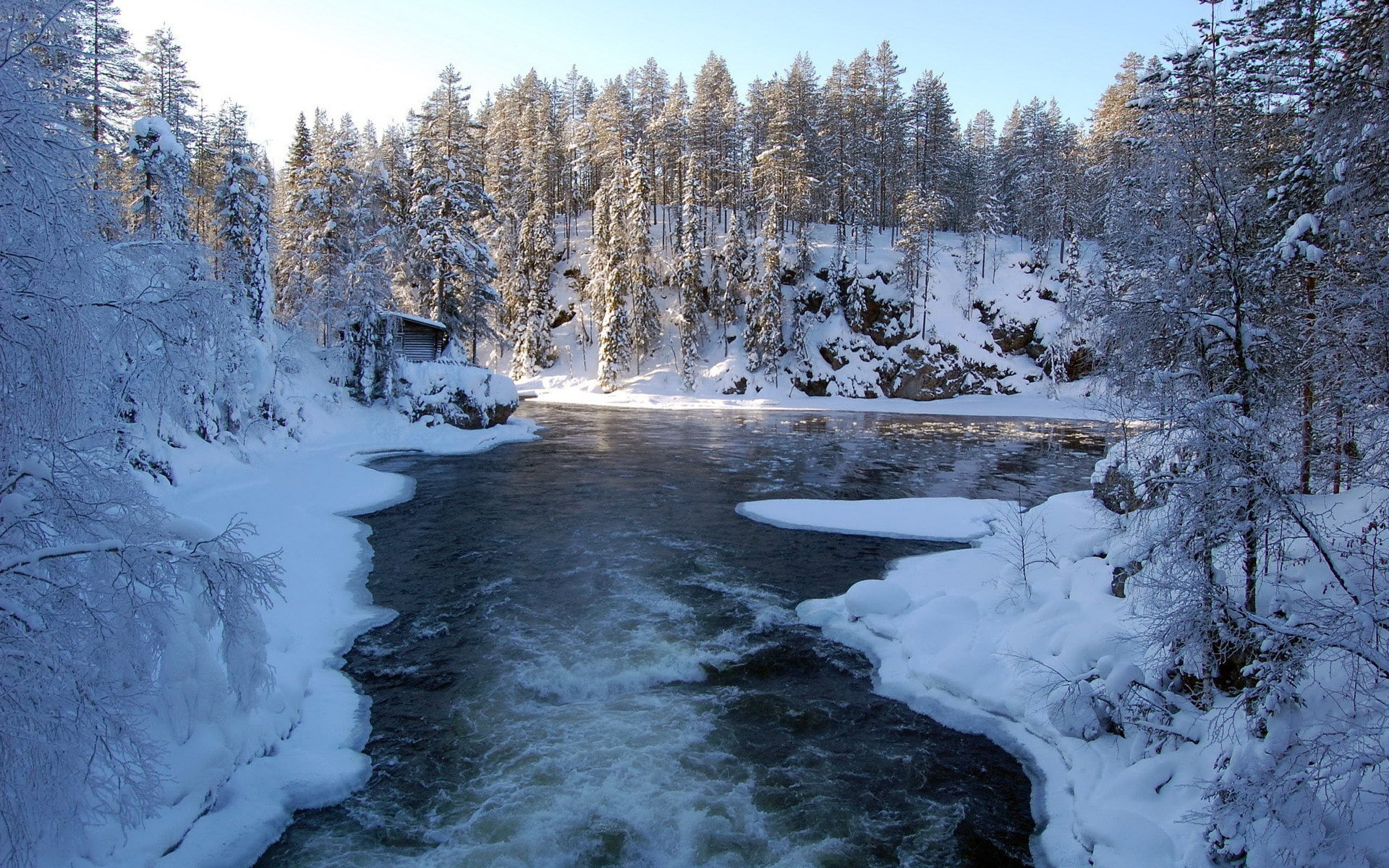 forest, day, flowing water, flowing, beauty in nature, scenics - nature, tranquility, tranquil scene, land, cold temperature, background hd nature pics 1920x1200, HD Wallpaper
