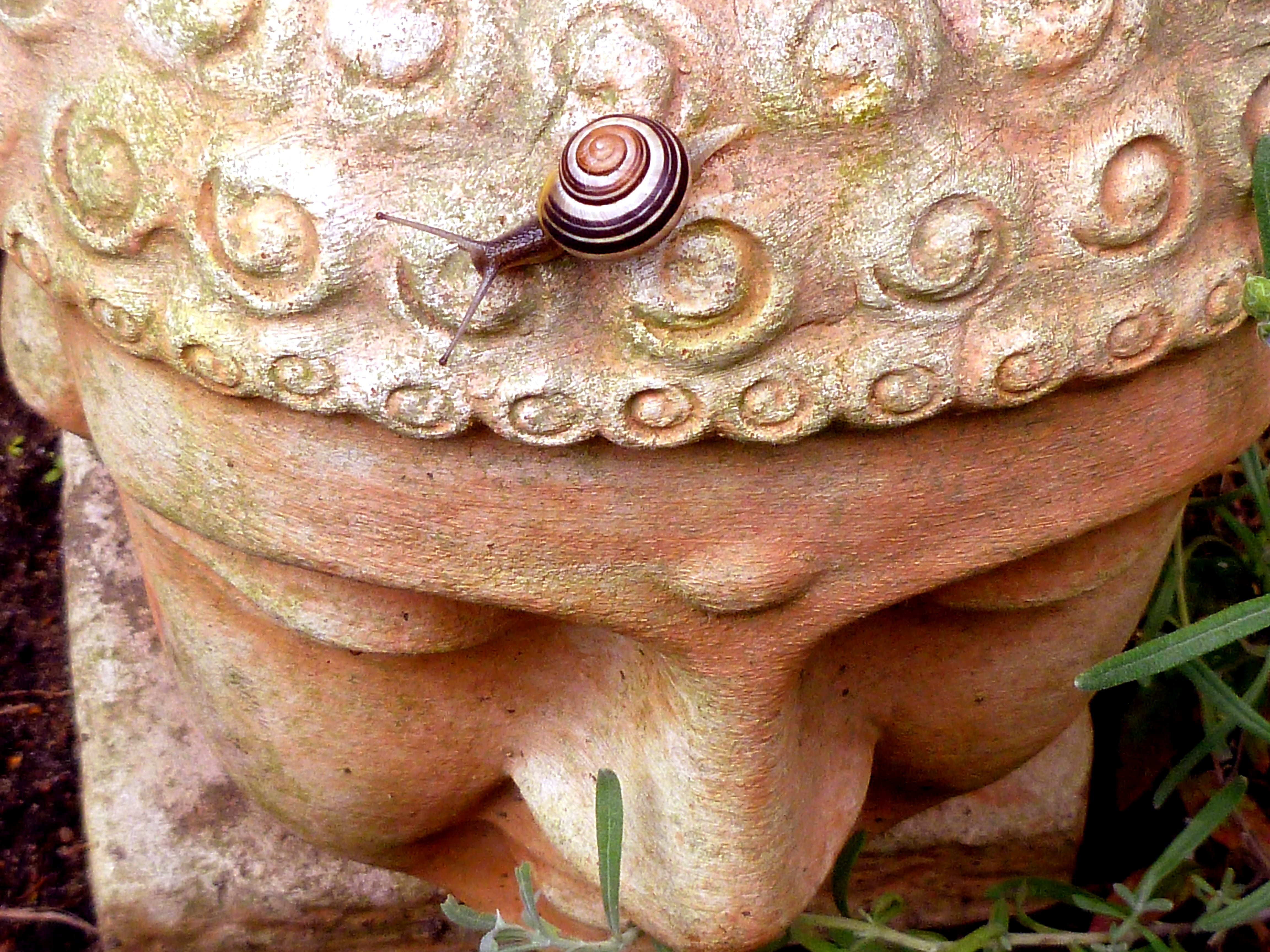 head, gautama, outdoors, close-up, architecture, close, top, textured, pattern, sculpture, wirbellos, buddha, representation, nature, religion, art and craft, HD Wallpaper