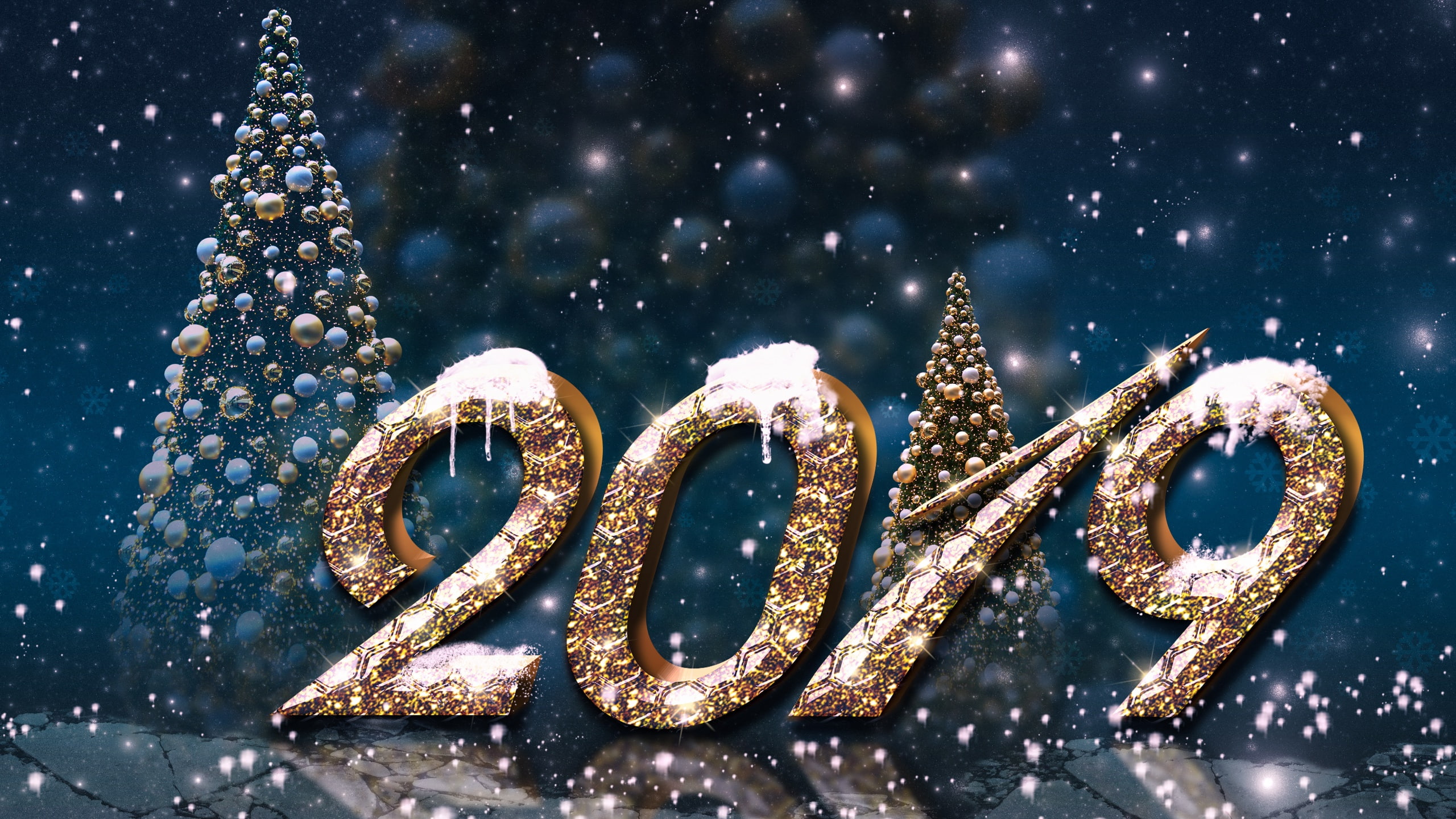 2K, New Year 2019, Holiday, Christmas Tree, HD Wallpaper