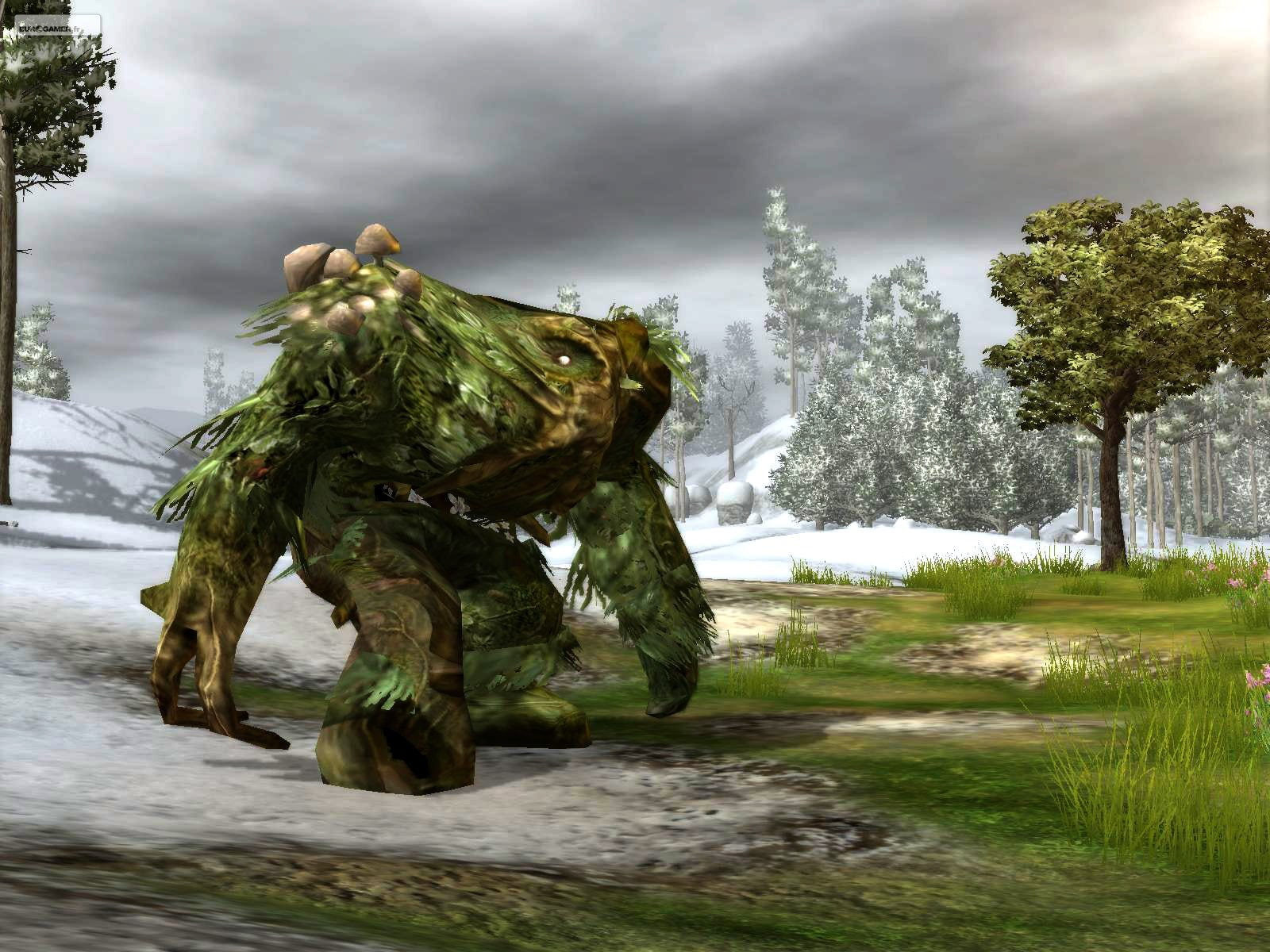 rpg, fantasy, nights, mmo, neverwinter, warrior, adventure, fighting, 720P, HD Wallpaper