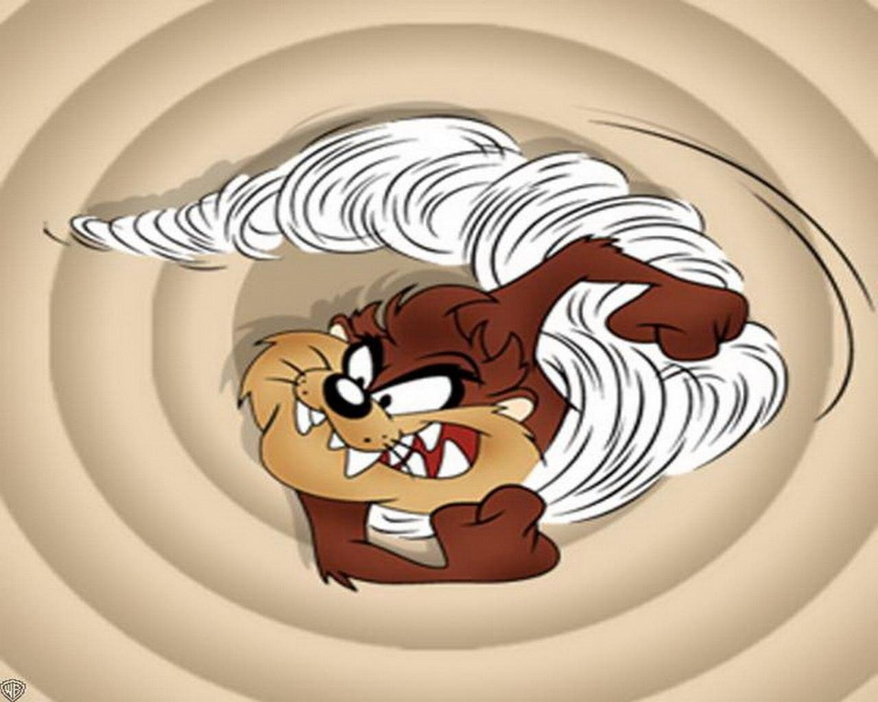 Looney Tunes, Tasmanian Devil (Looney Tunes), TV Show, 720P, HD Wallpaper