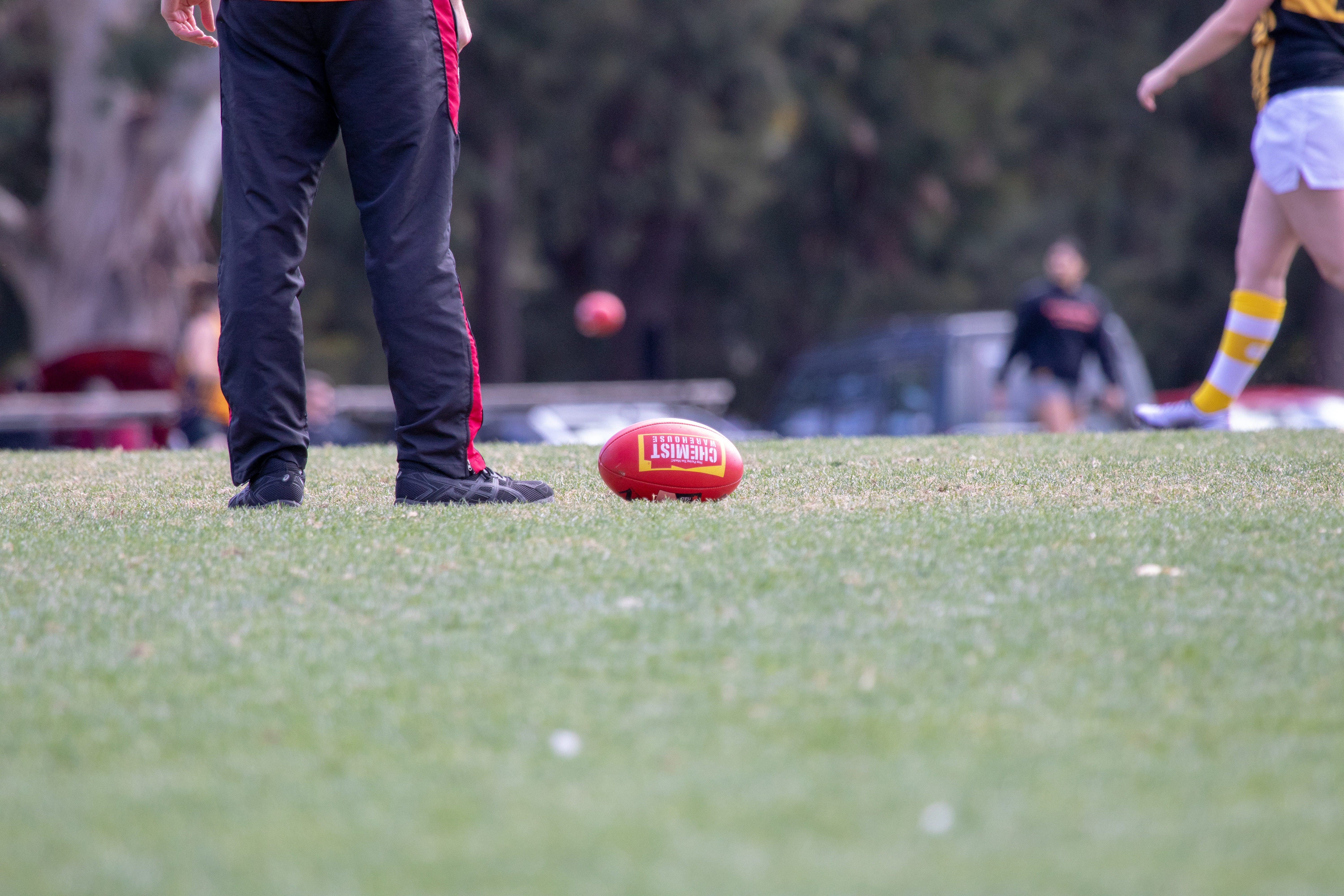 outdoor, team sport, afl, day, playing, field, body part, football, rules, pitch, group of people, footie, grass, men, human body part, aussie rule, human limb, HD Wallpaper