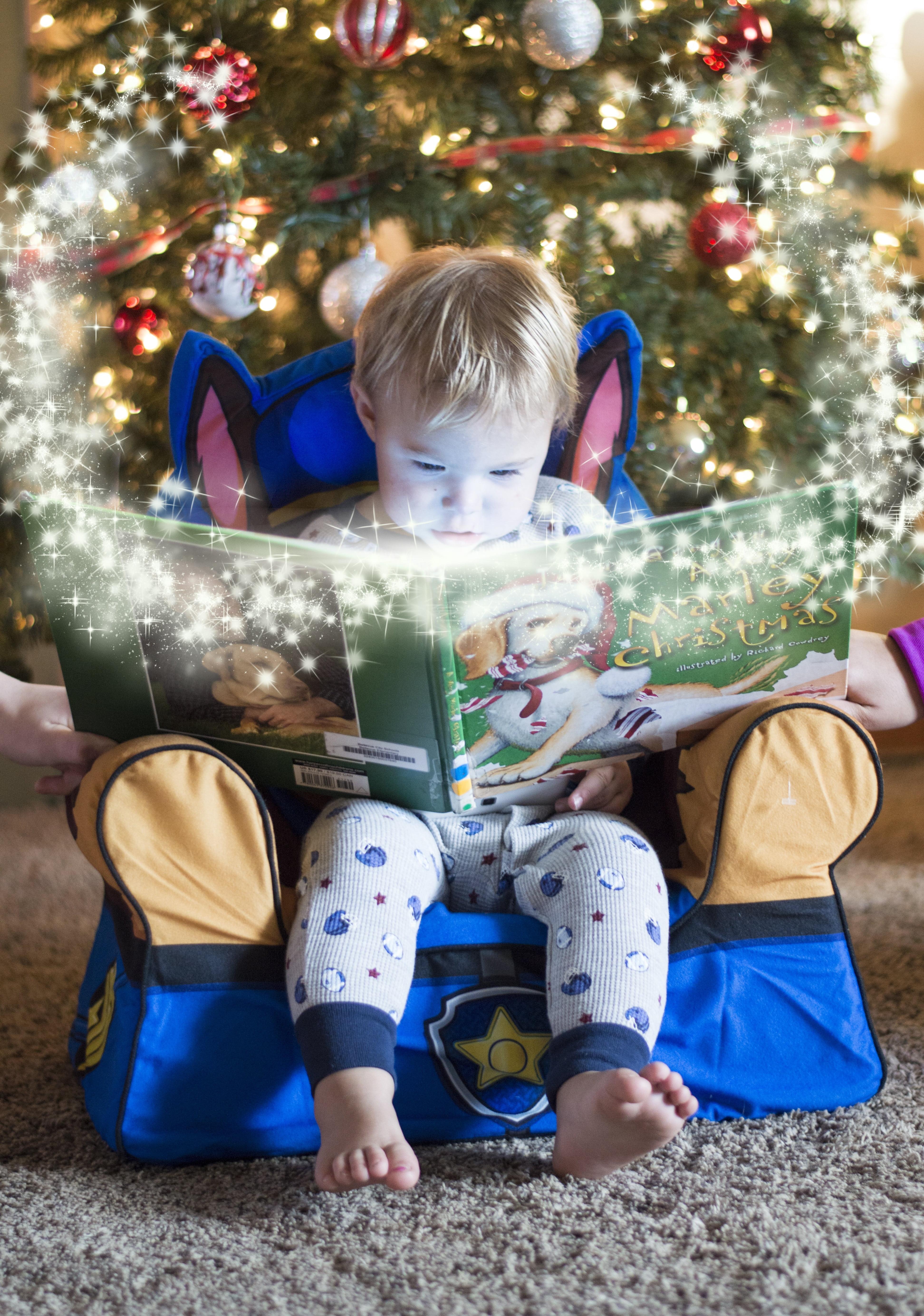 boys, one person, read, full length, boy, men, front view, book, 5K, christmas tree, christmas decoration, holiday, wearing, indoors, innocence, blue, Phone HD Wallpaper