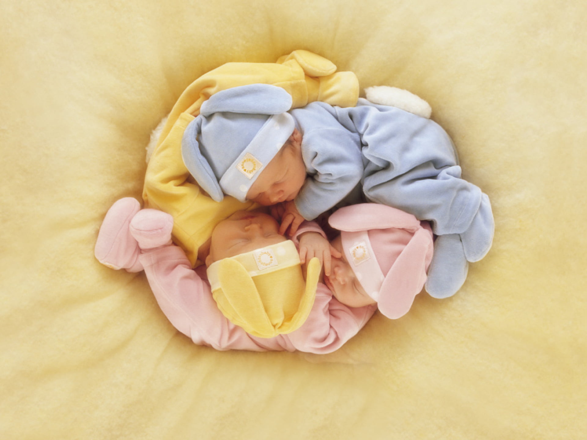 assorted, security, large group of objects, yellow, indoors, high angle view, close-up, footies, color, pink Color, stuffed, innocence, bed, relaxation, HD Wallpaper