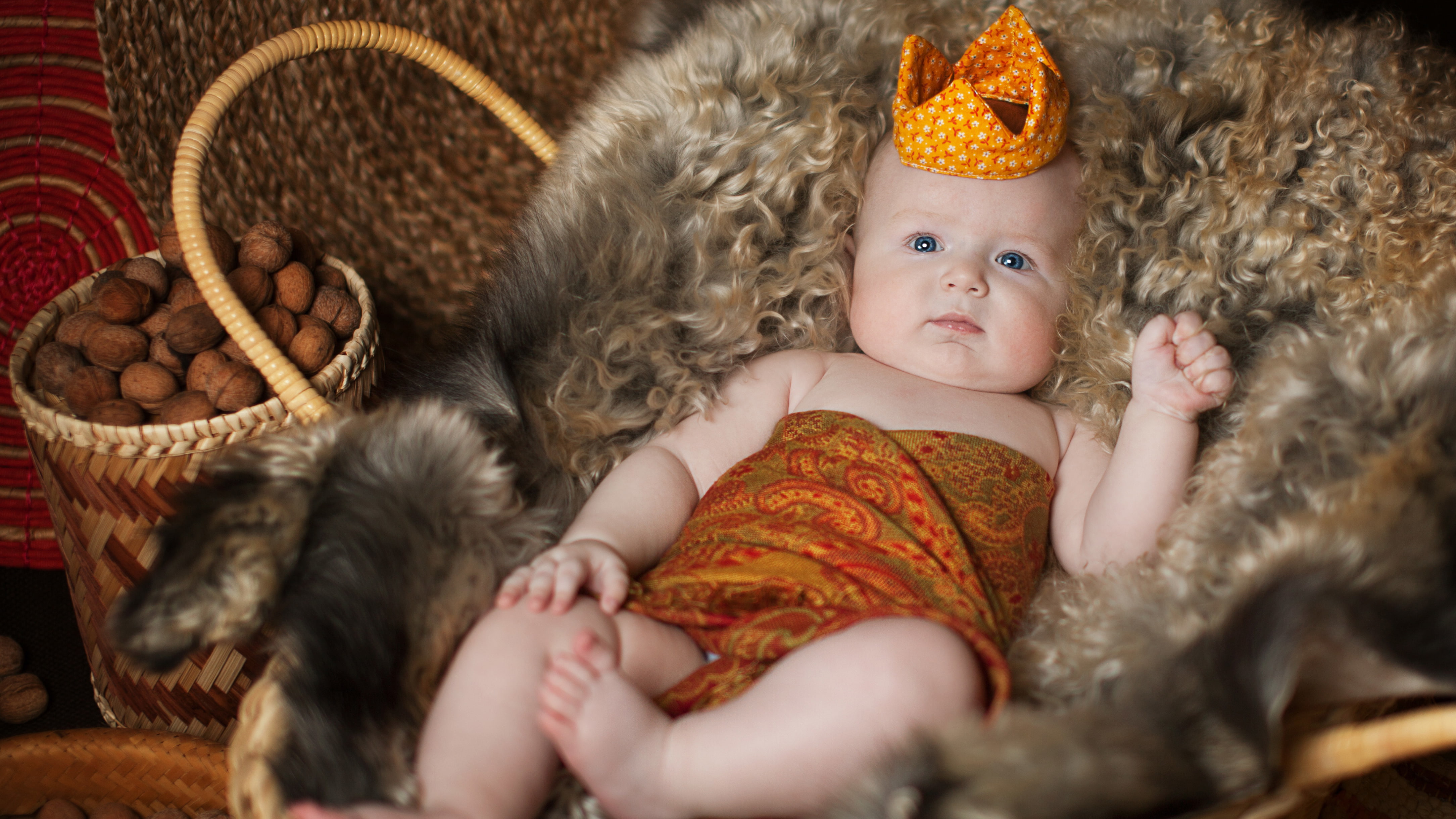 4K, 4K, Crown, Fur basket, Cute baby boy, HD Wallpaper