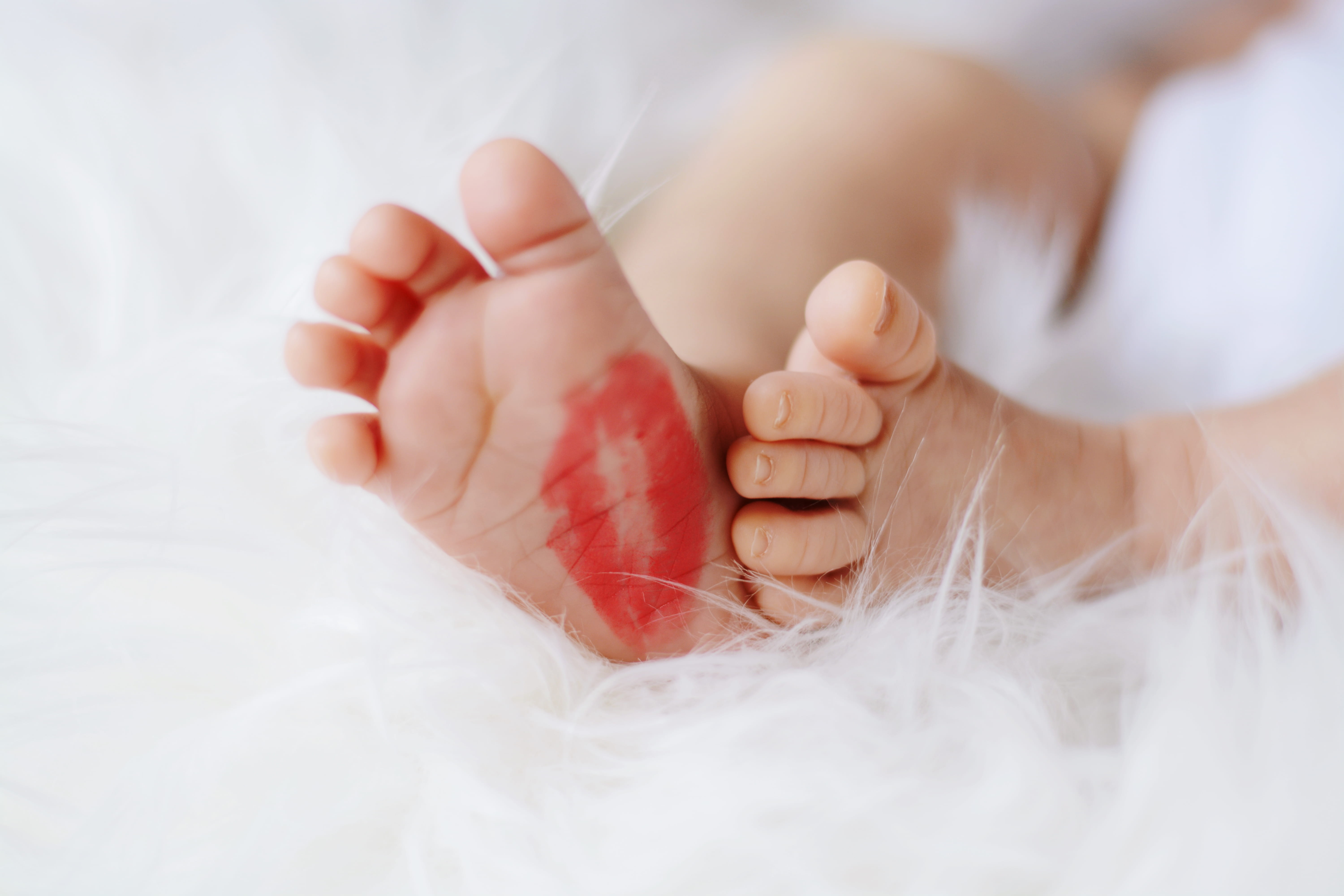 one person, body part, human leg, 5K, human limb, human body part, kiss, bed, foot, human foot, barefoot, baby feet, small, baby, babyhood, vulnerability, HD Wallpaper