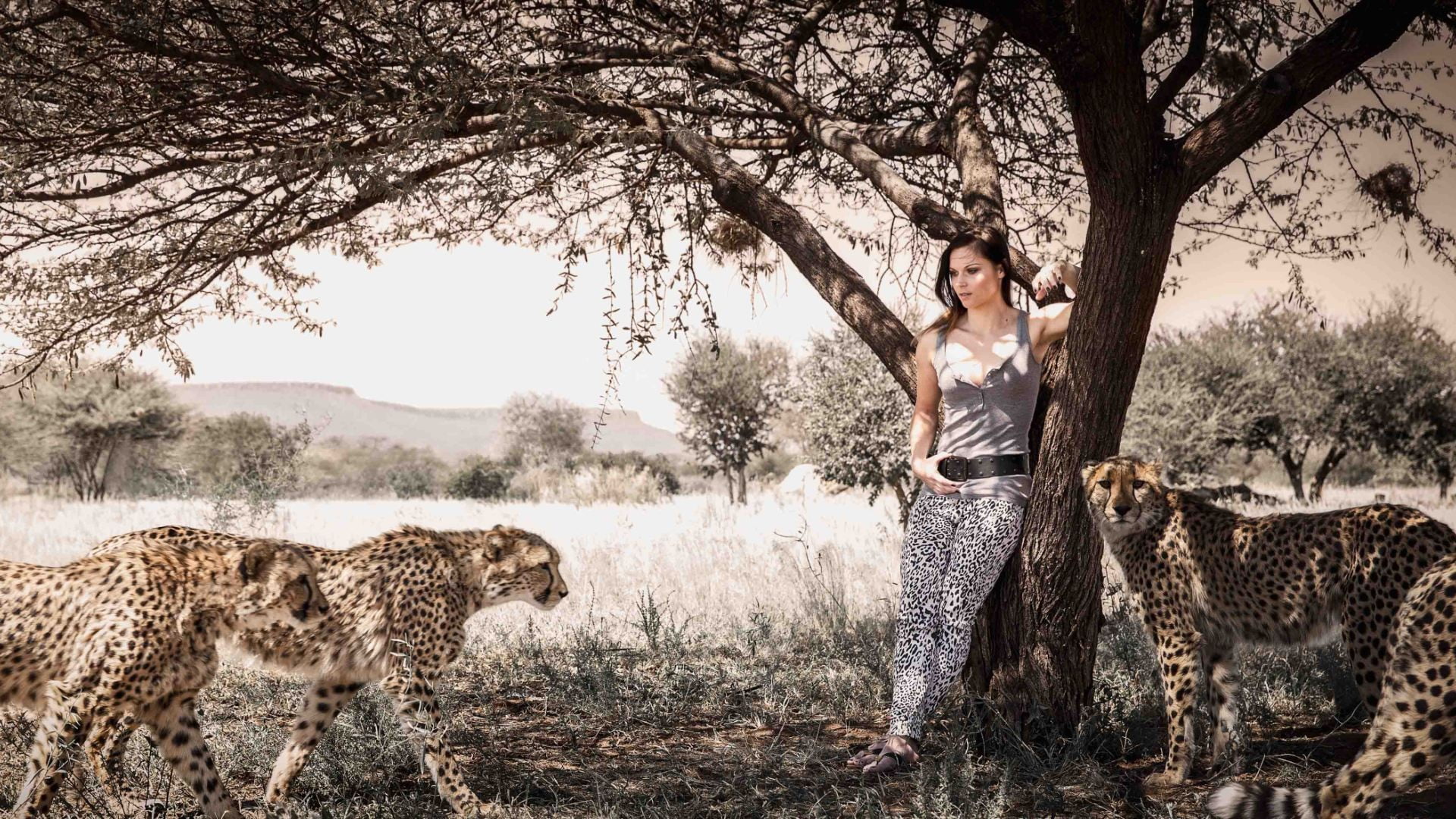 young adult, real people, beautiful woman, outdoors, mammal, 1080P, tree, brunette, one person, standing, portrait, cheetahs, young women, lifestyles, HD Wallpaper