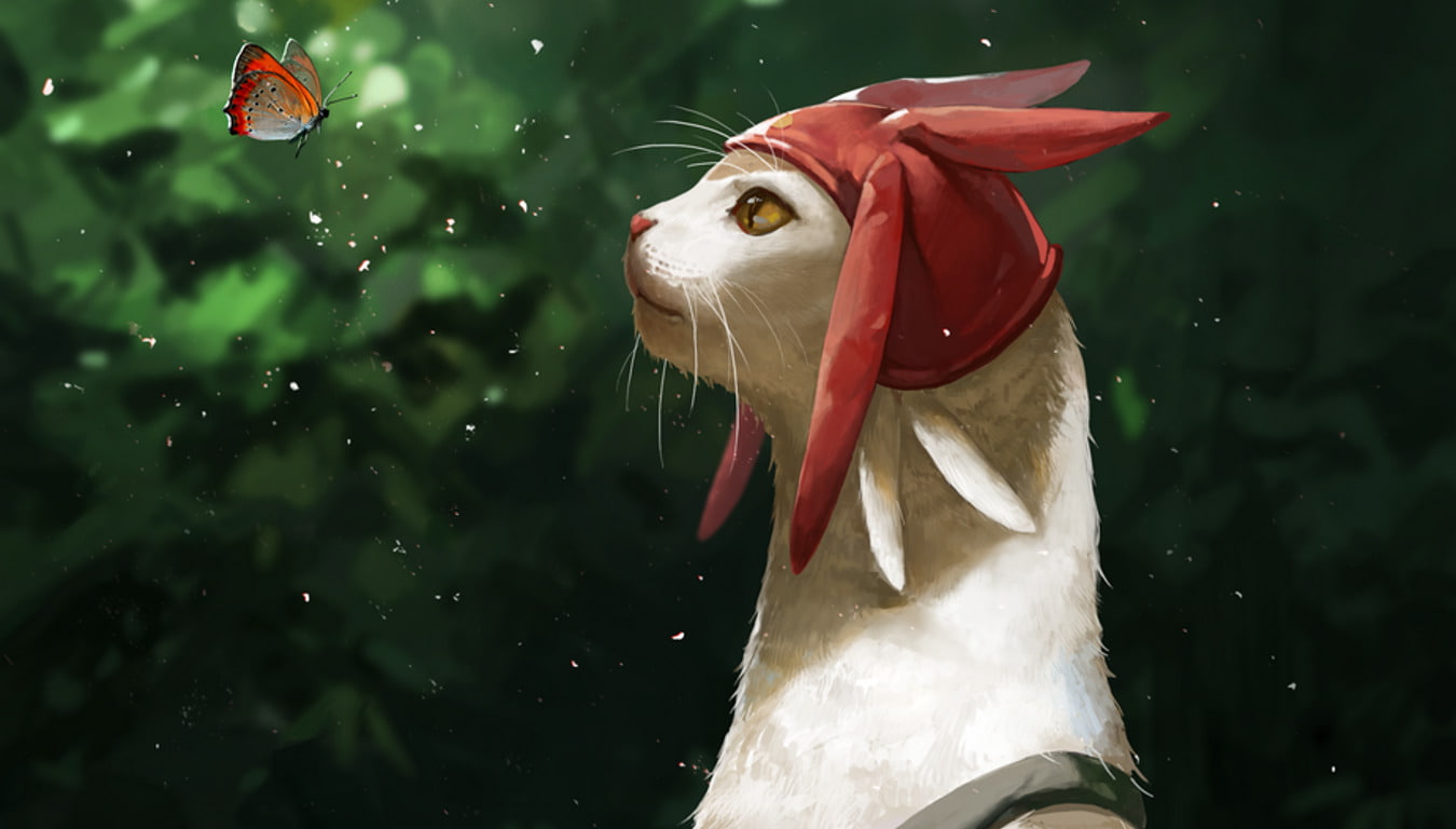 animal wildlife, beak, no people, water, vertebrate, animal, Space Dandy, nature, animal body part, Meow (Space Dandy), focus on foreground, bird, 720P, HD Wallpaper