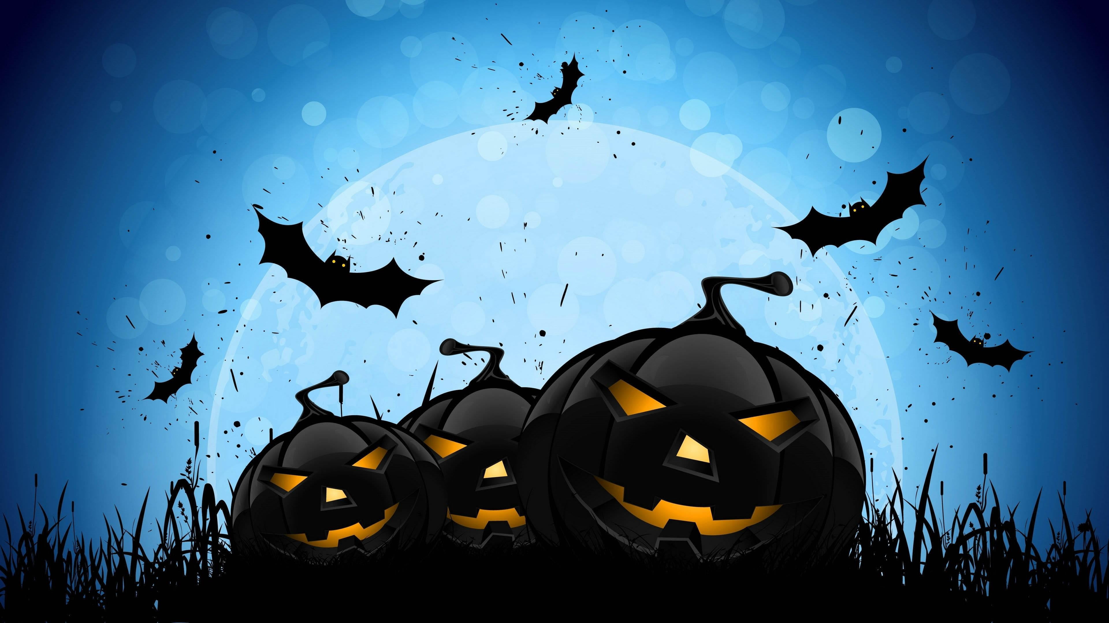 animal themes, graphics, blue, pumpkins, jack o lantern, silhouette, nature, animal wildlife, outdoors, darkness, halloween, animals in the wild, yellow, HD Wallpaper