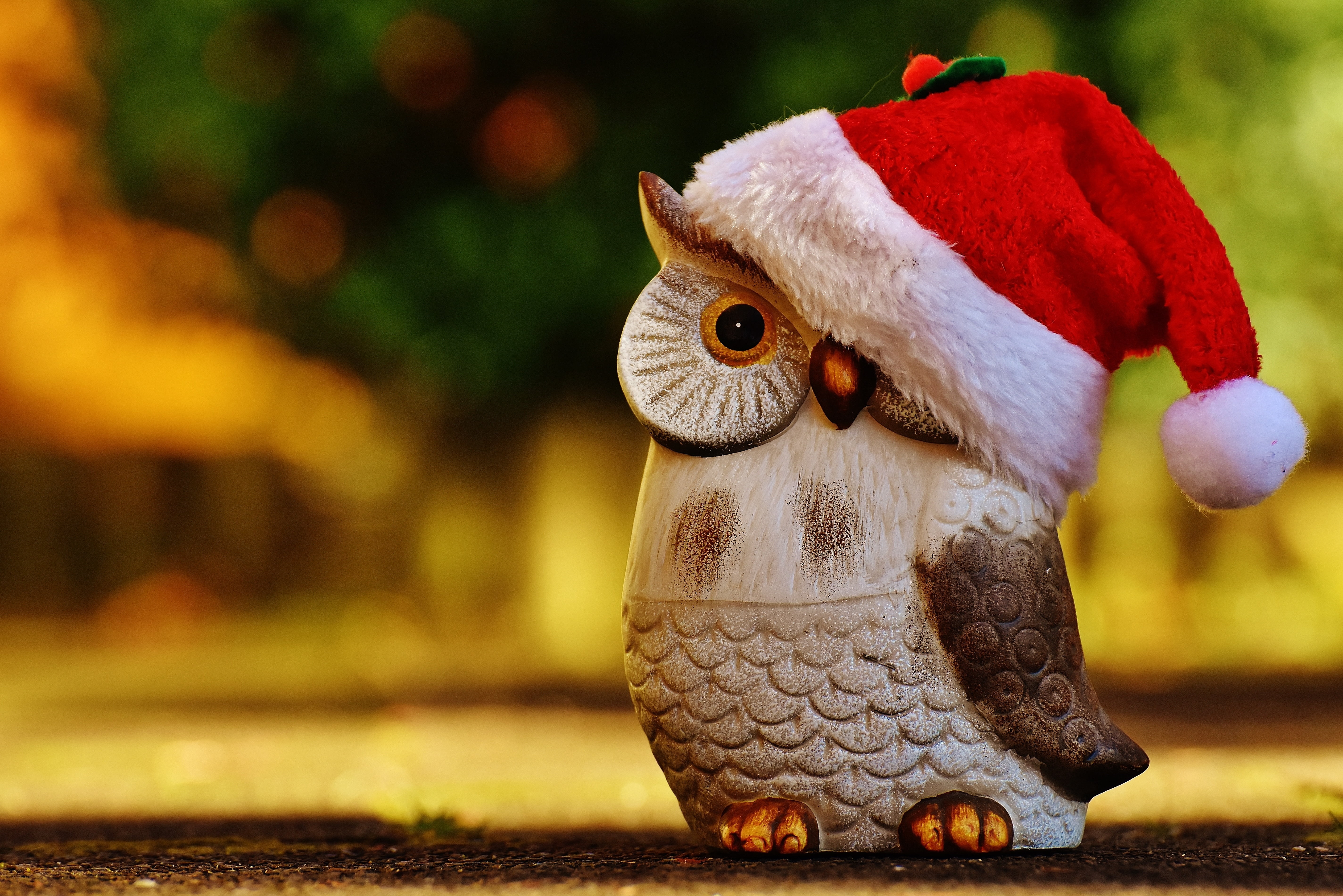 wintry, figurine, one animal, toy, advent, santa, wearing, animal themes, christmas, santa hat, contemplative, fun, day, funny, christmas decoration, animal body part, HD Wallpaper