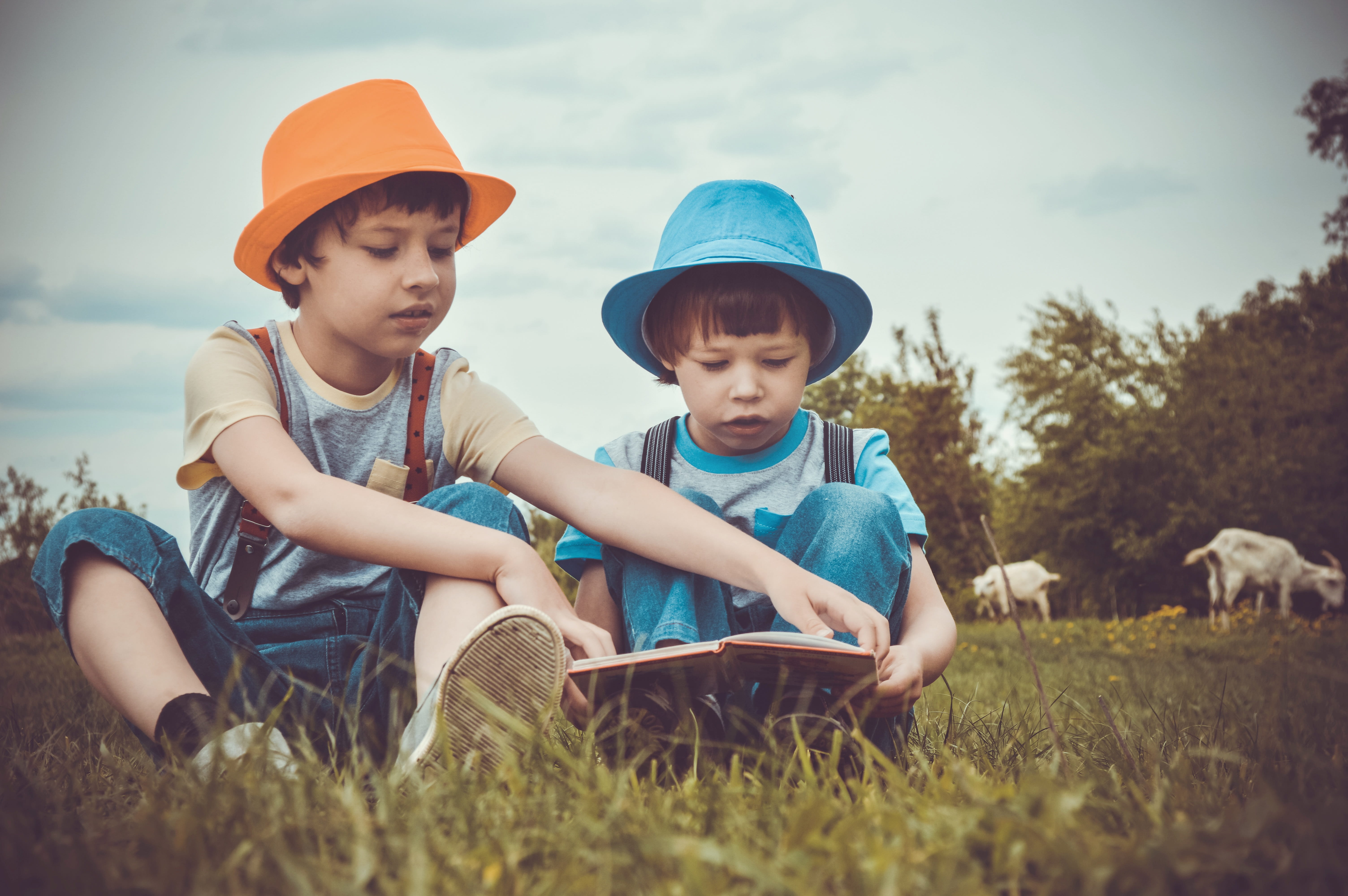 leisure activity, grass, photographing children, casual clothing, green, plant, pets, outdoors, real people, nature, boy, males, meadow, togetherness, park, HD Wallpaper