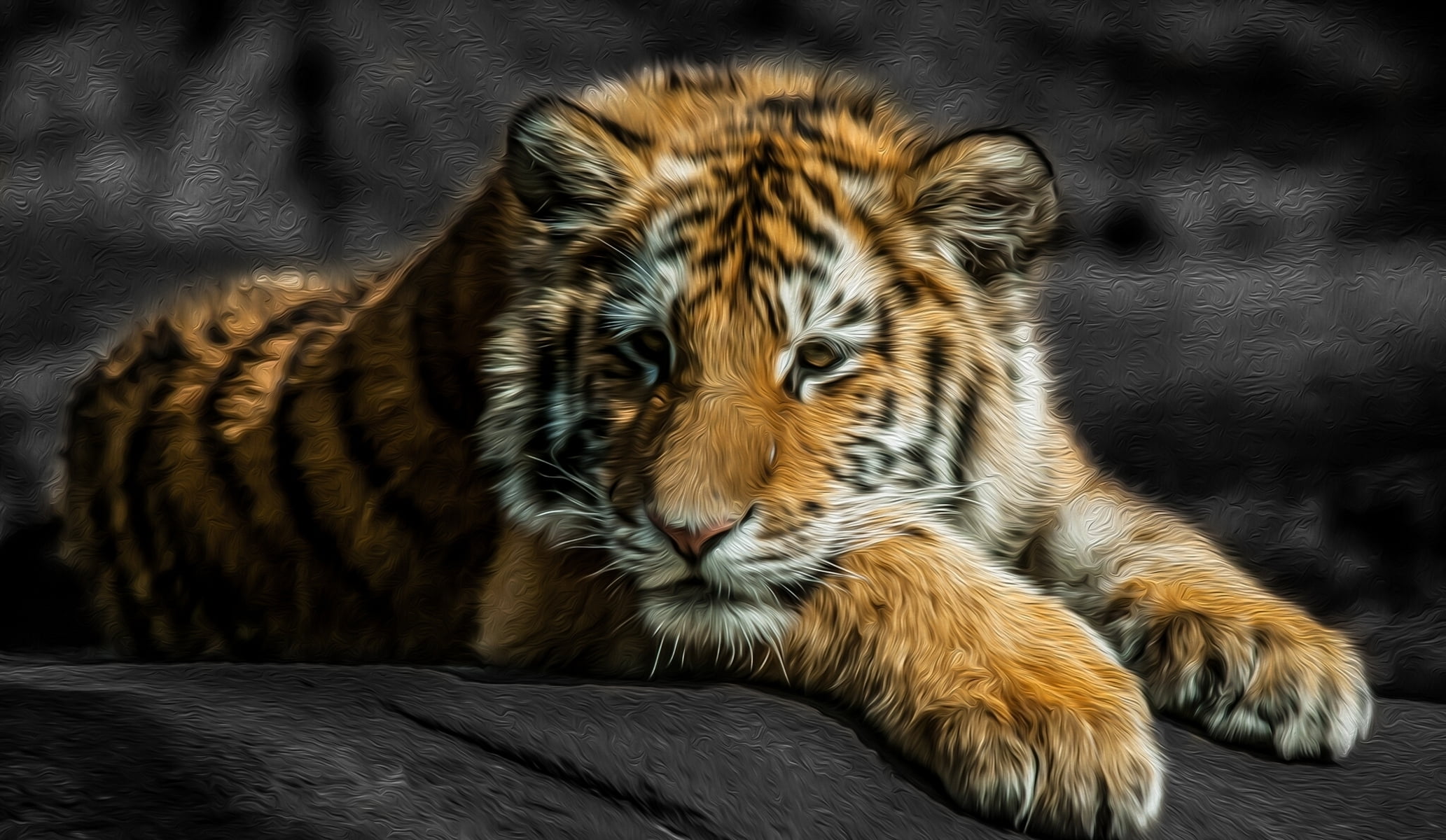 whisker, portrait, lie down, staring, bengal Tiger, 1080P, animals In The Wild, close-up, undomesticated Cat, baby, fur, large, animal Eye, danger, predator, HD Wallpaper