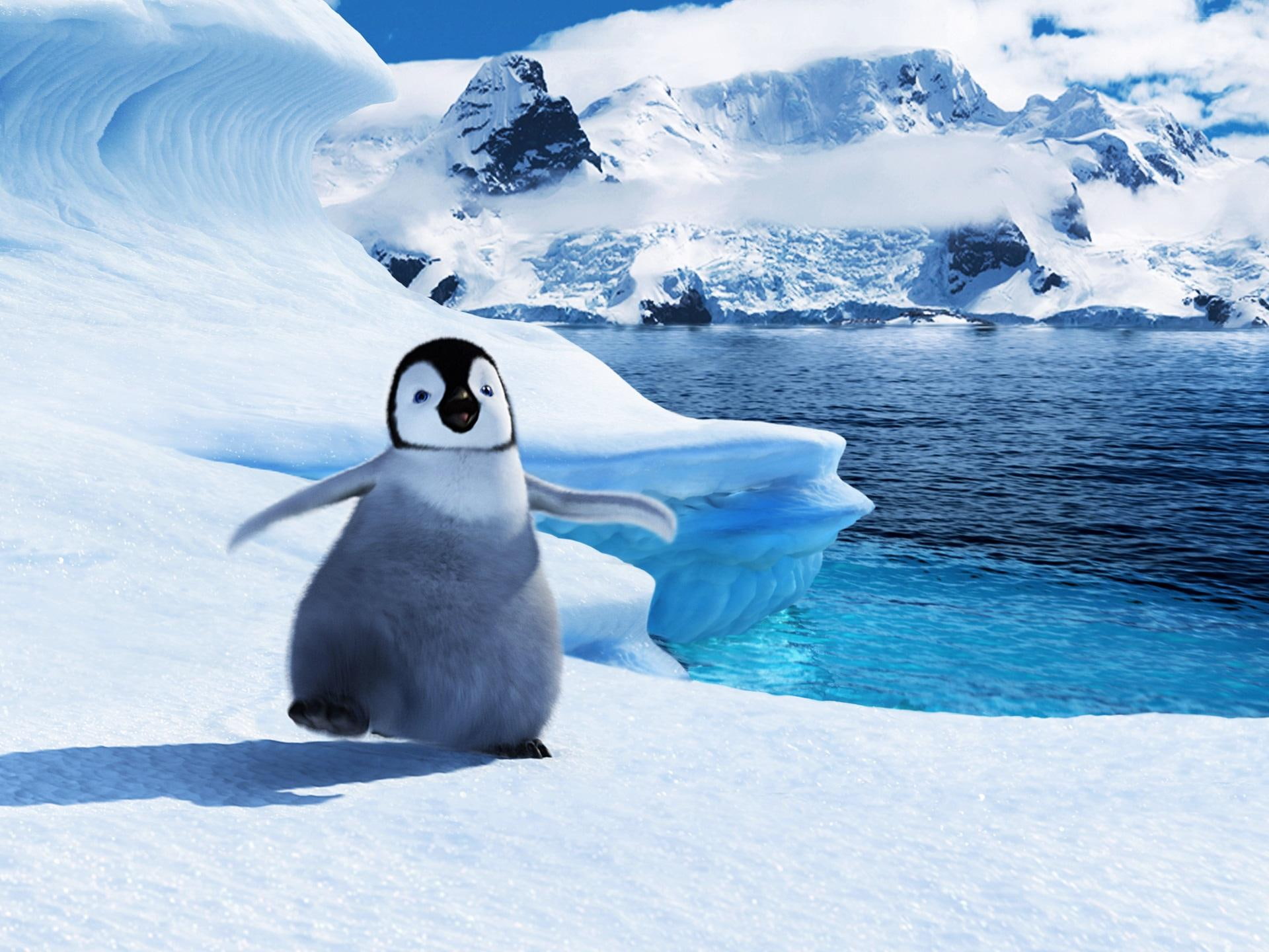 1080P, movies, baby, feet, mumble, happy, HD Wallpaper