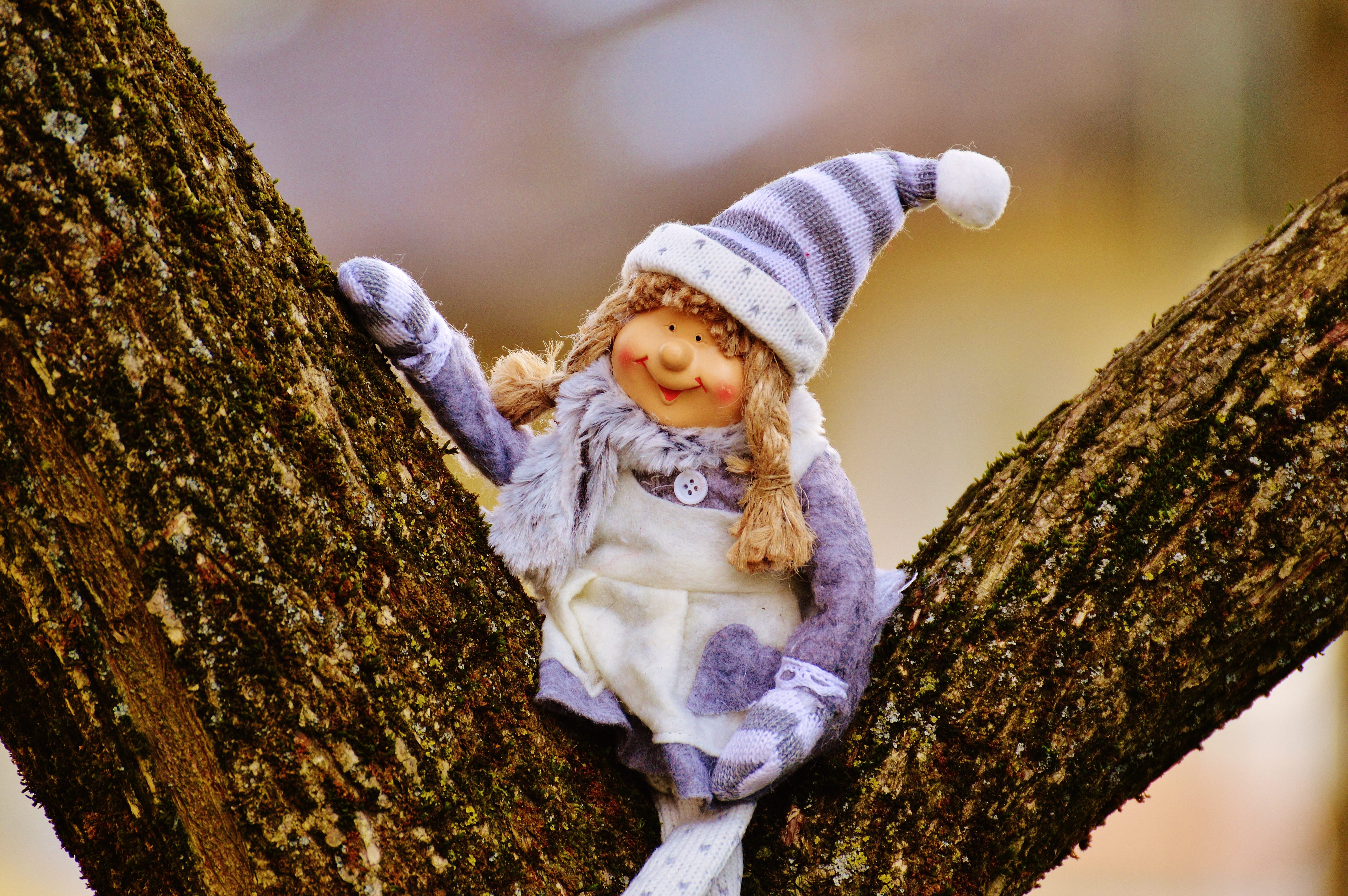 one person, tree, cap, childhood, cute, doll, trunk, innocence, baby, fun, tree trunk, nature, 5K, focus on foreground, plant, clothing, decoration, winter, HD Wallpaper