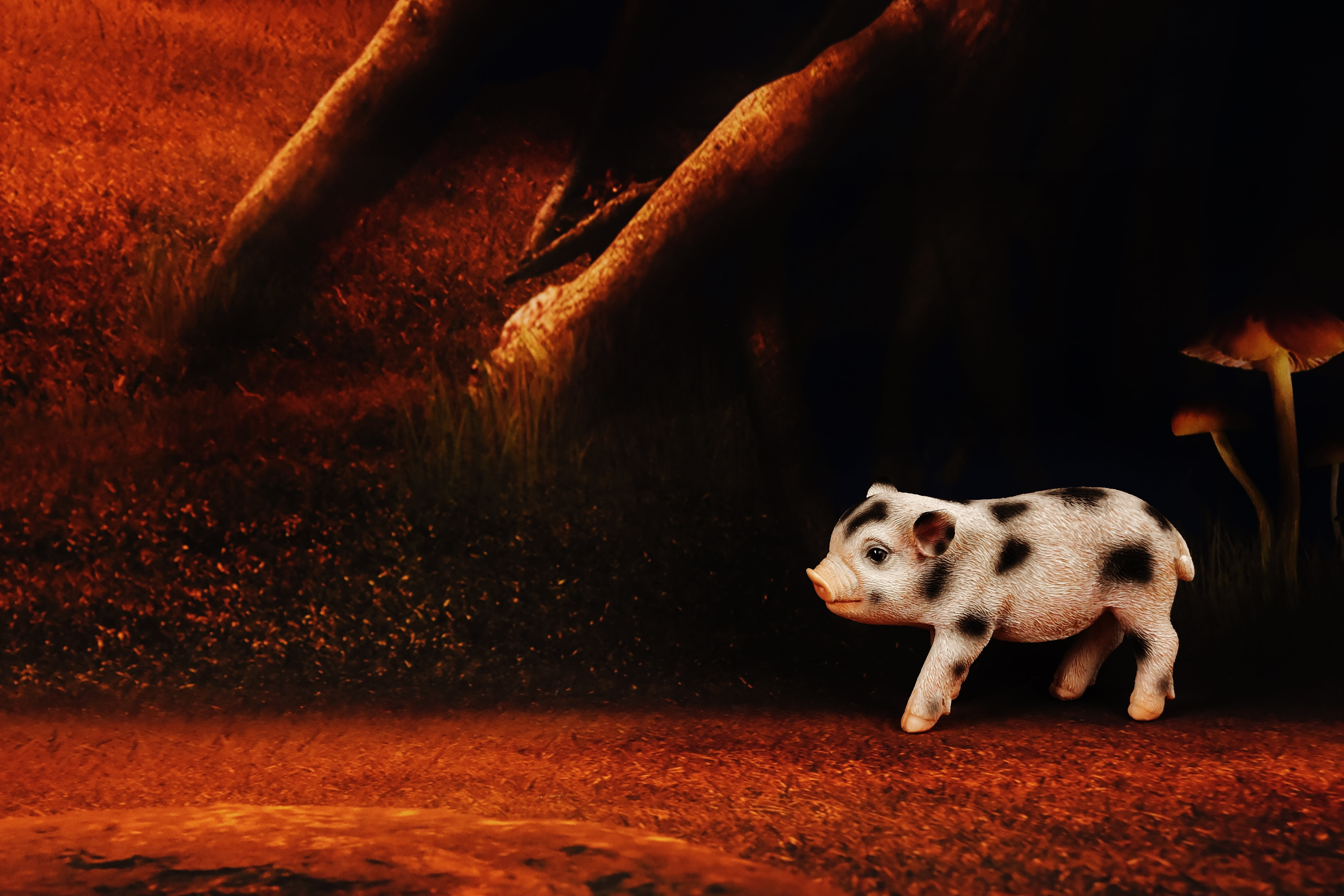 forest, dog, no people, animals in the wild, cute, piglet, animal eye, pets, nature, domestic animals, 5K, small, standing, animal, mammal, lucky charm, HD Wallpaper