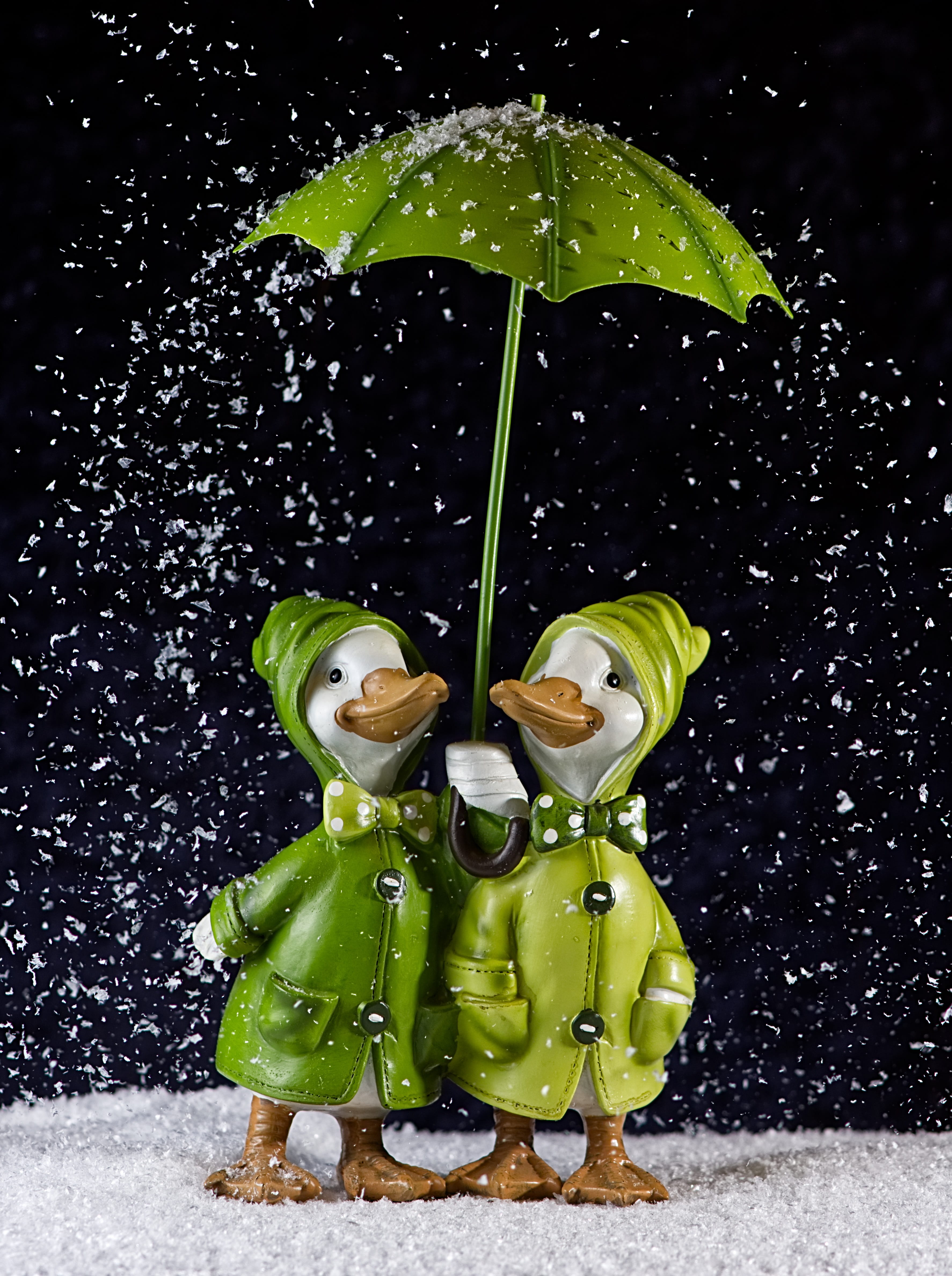 cold temperature, green color, front view, wet, plant, leaf, representation, human representation, figures, animal world, funny, holding, charming, screen, Phone HD Wallpaper