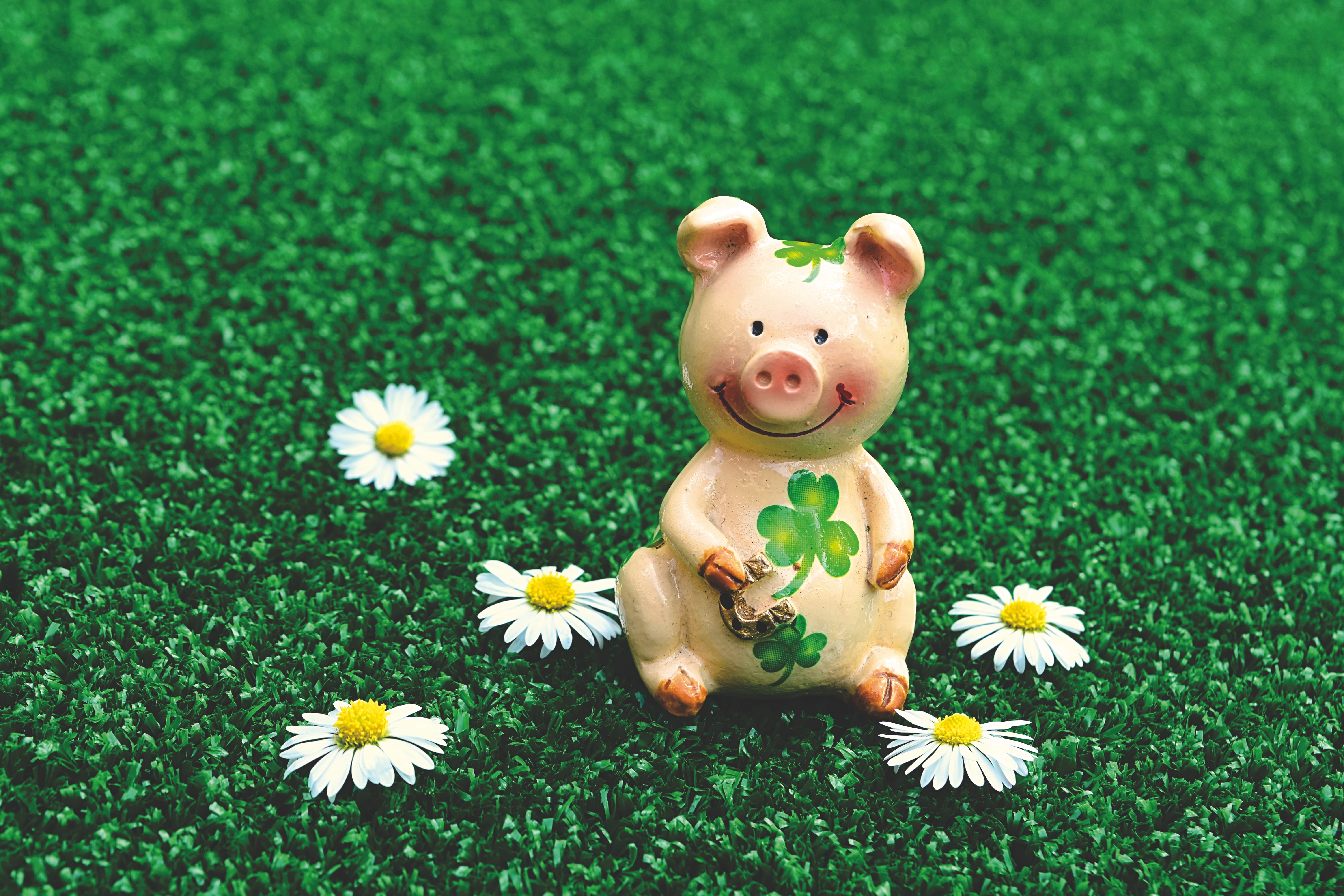 luck, piglet, good luck, grass, representation, field, toy, green color, animal representation, flower head, plant, clover, no people, high angle view, HD Wallpaper