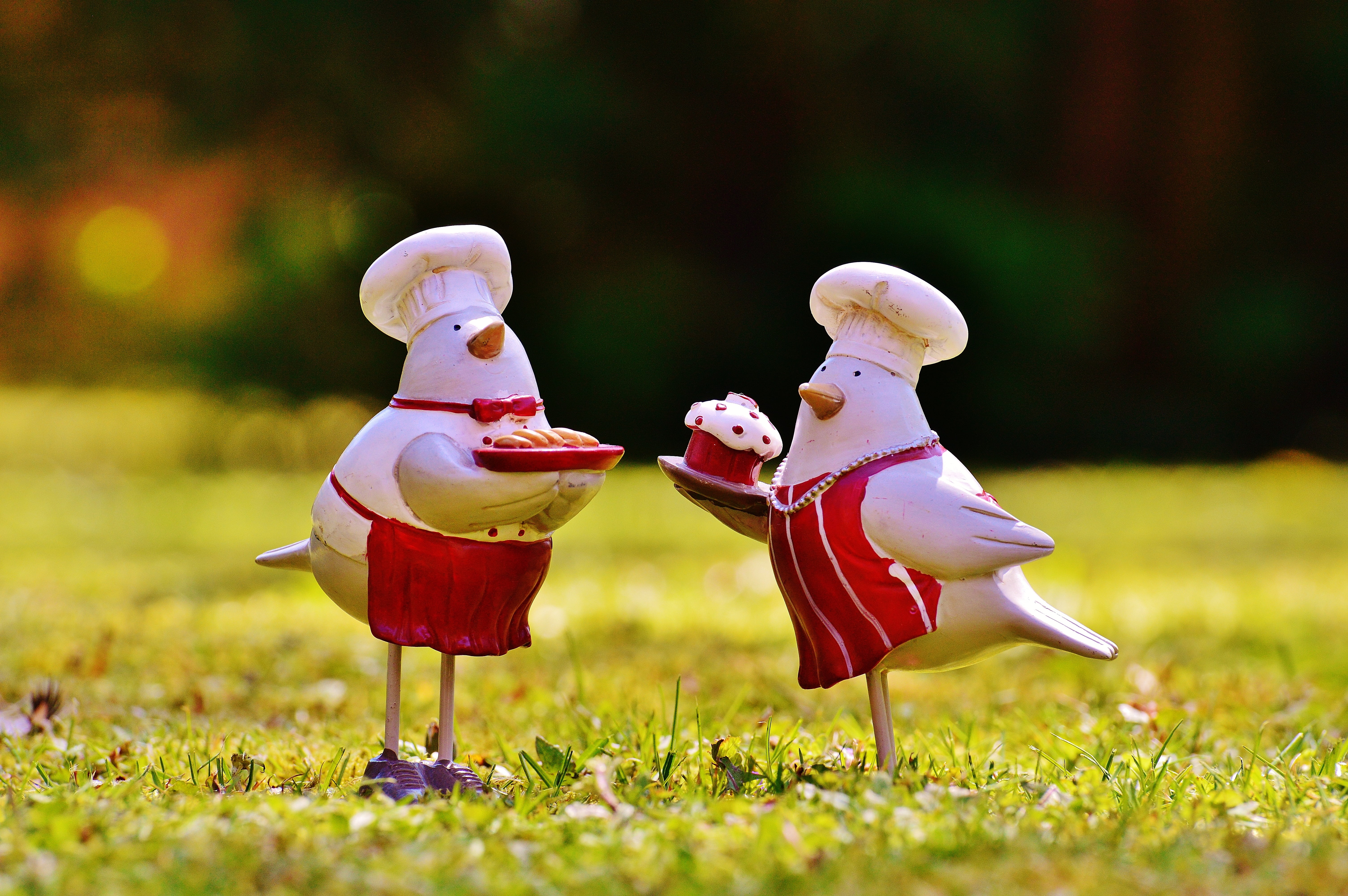 sweet, bake, charming, creativity, two, digital, sun, land, selective focus, 5K, outdoors, cute, cook, field, chefs, male likeness, easter, HD Wallpaper
