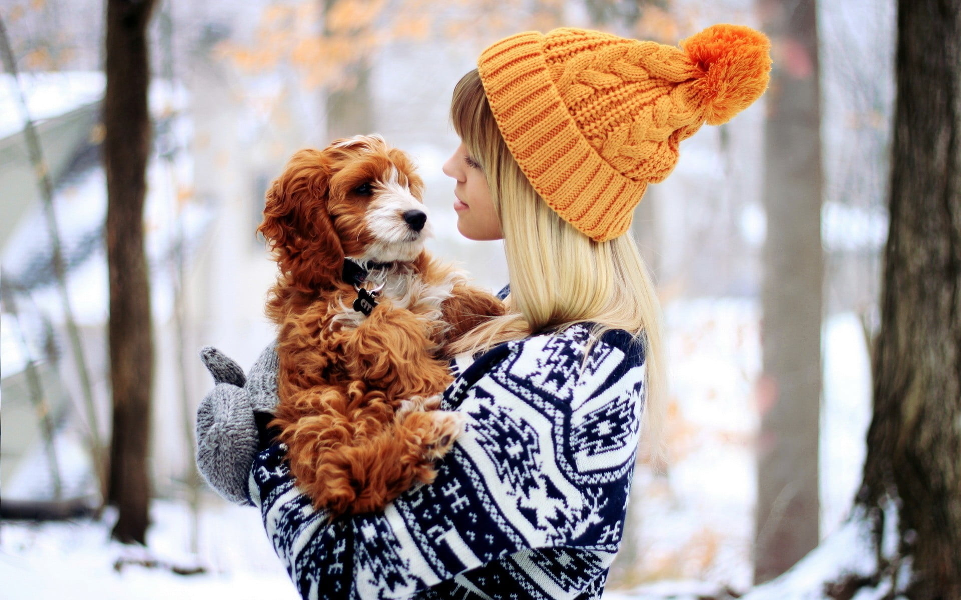 one animal, sweater, domestic, hat, pets, day, focus on foreground, animals, orange, mammal, women, cold temperature, people, scarf, woolly hat, winter, HD Wallpaper