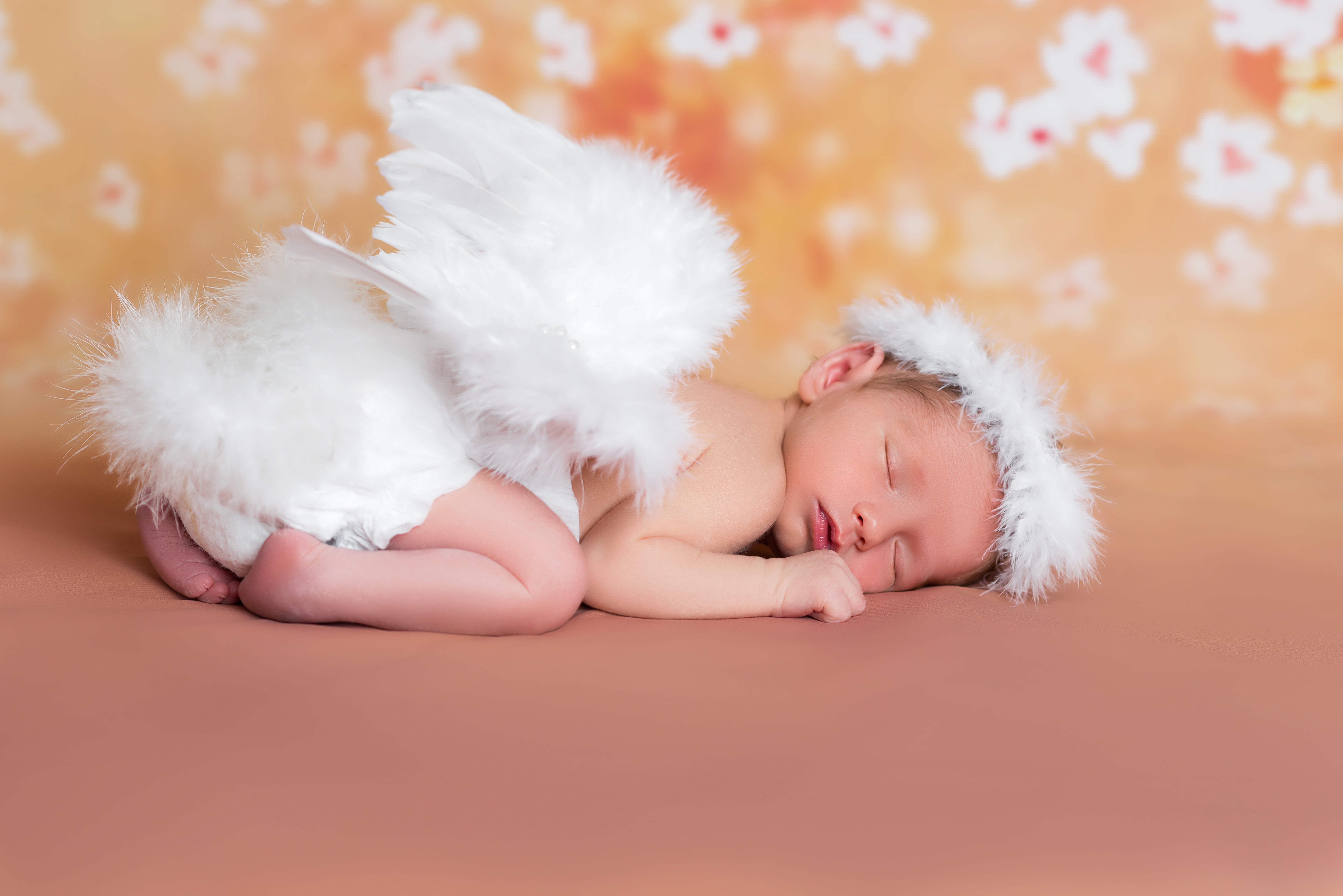 wings, angel, angels, sleep, Infants, sleeping, 5K, baby, HD Wallpaper