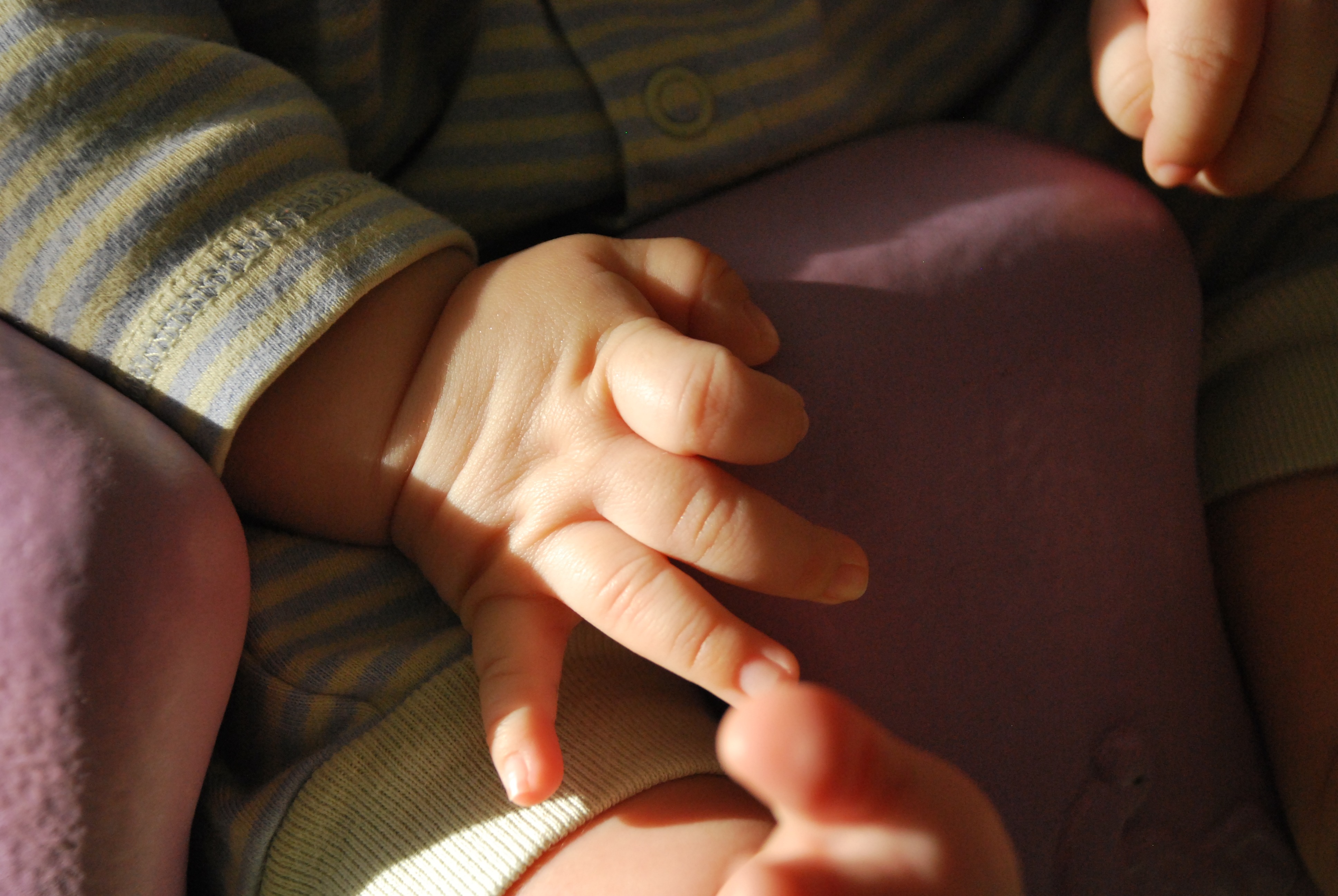 finger, indoors, care, people, close-up, infant, love, childhood, small, baby, lifestyles, child, hands, family, cute, human hand, parent, two people, fingers, HD Wallpaper