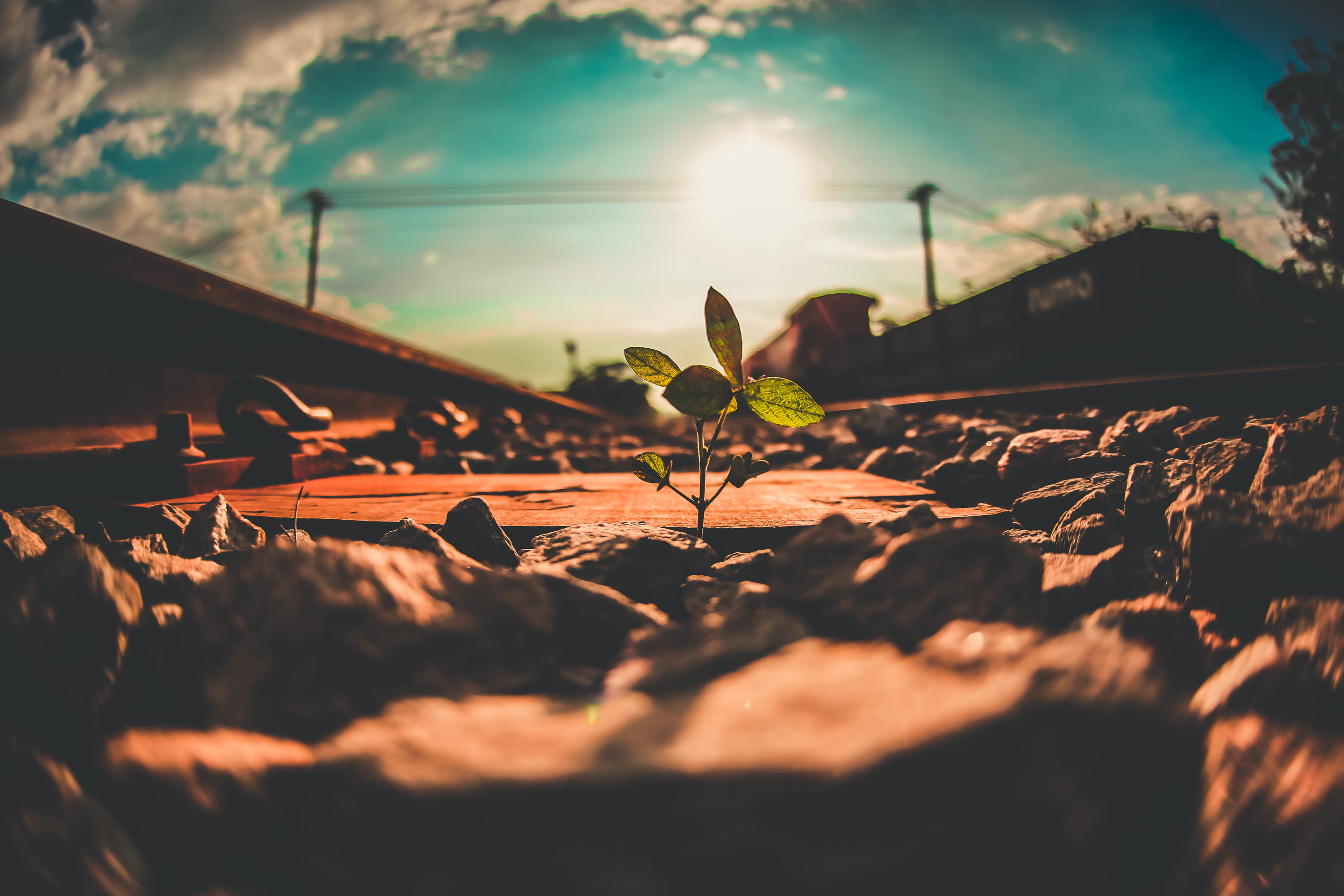 leaf, saopaulo, no people, close-up, cloud - sky, serjosoza, surface level, plant part, tree, fragility, freshness, sky, beauty in nature, landscape, leaves, HD Wallpaper