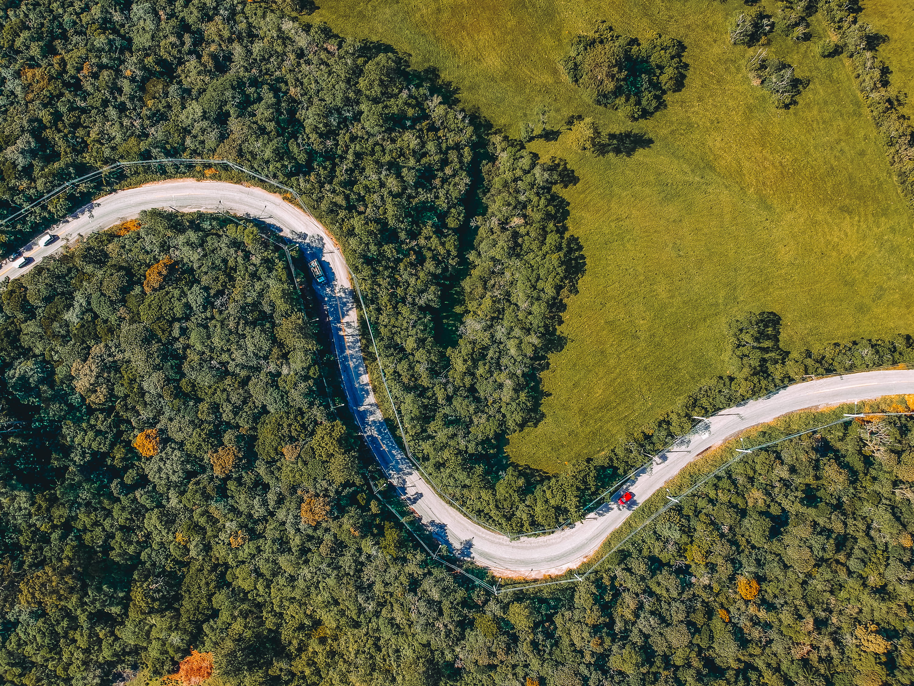 beauty in nature, 2K, high angle view, saopaulo, no people, forest, growth, non-urban scene, road, mountain road, environment, estrada engenheiro marsilac, HD Wallpaper