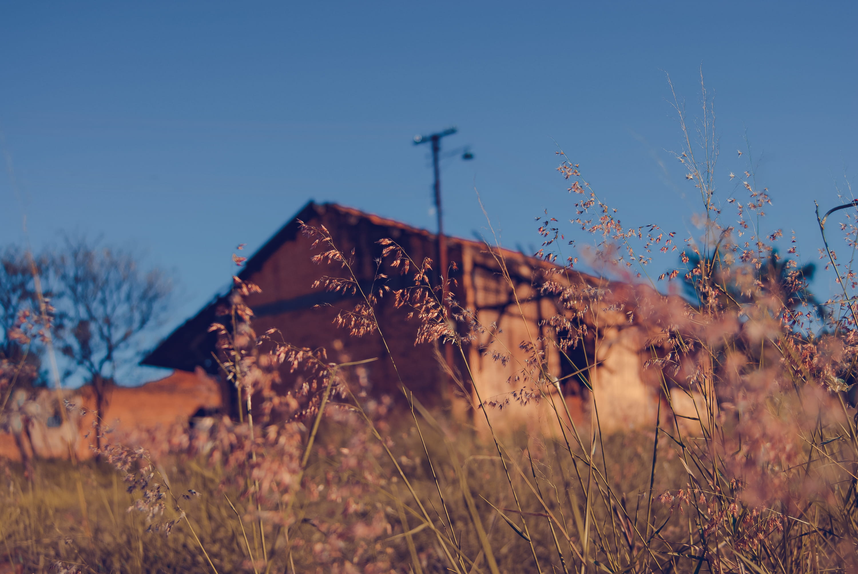 architecture, field, focus on foreground, nature, no people, plant, sunlight, house, sky, blue, land, grass, building exterior, casa, 2K, built structure, HD Wallpaper