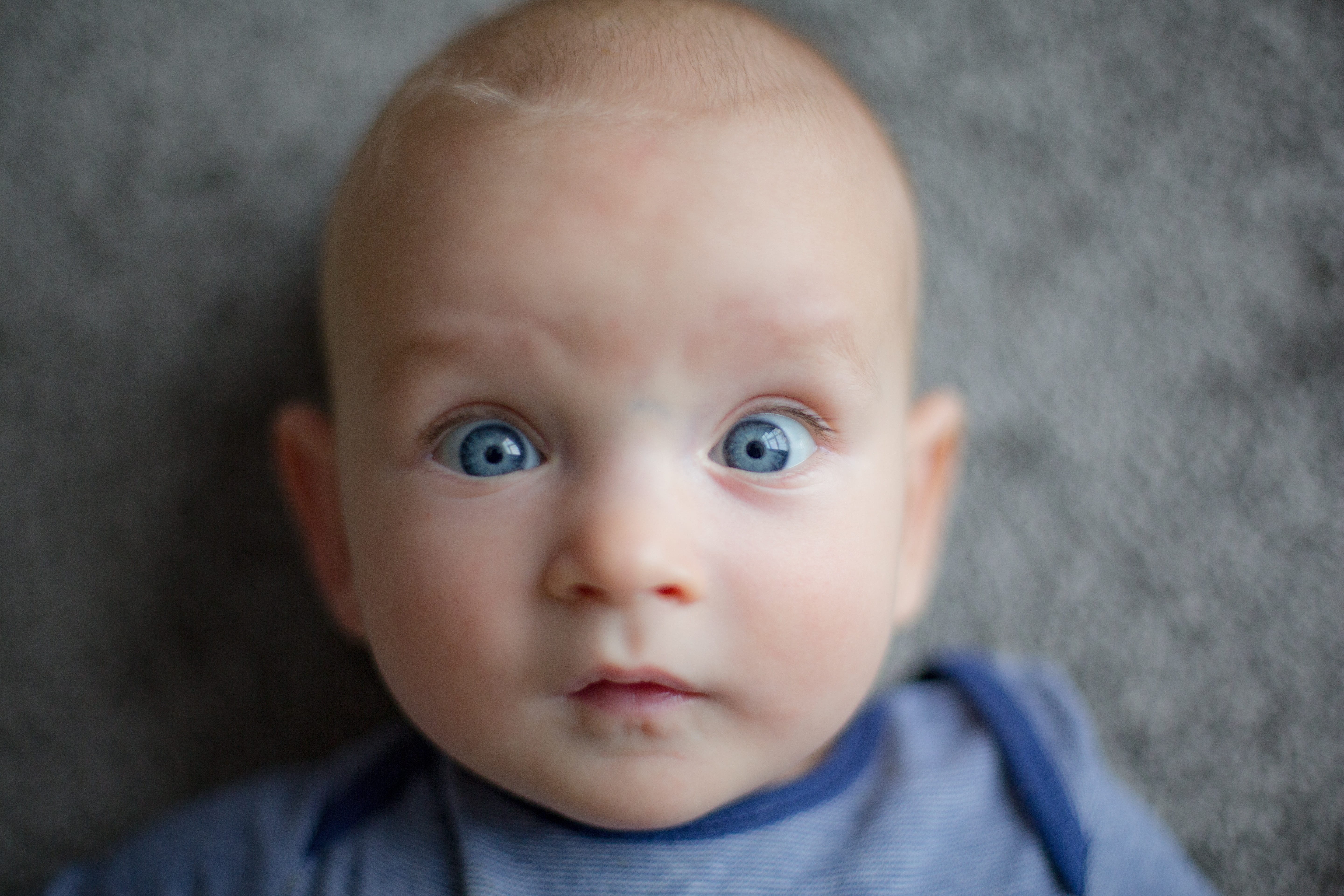 infant, looking at camera, front view, young, kid, contemplation, 5K, body part, child, close-up, cute, human face, baby, casual clothing, portrait, boy, HD Wallpaper