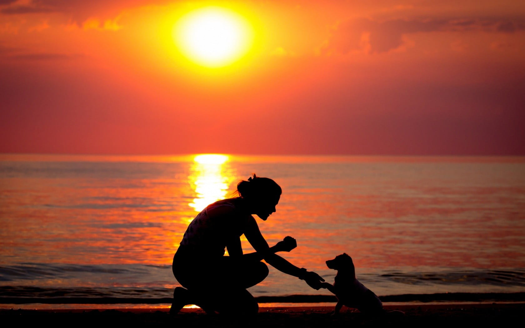 child, women outdoors, family with one child, parent, beauty in nature, orange color, daughter, 720P, women, men, beach, Sun, real people, horizon over water, HD Wallpaper