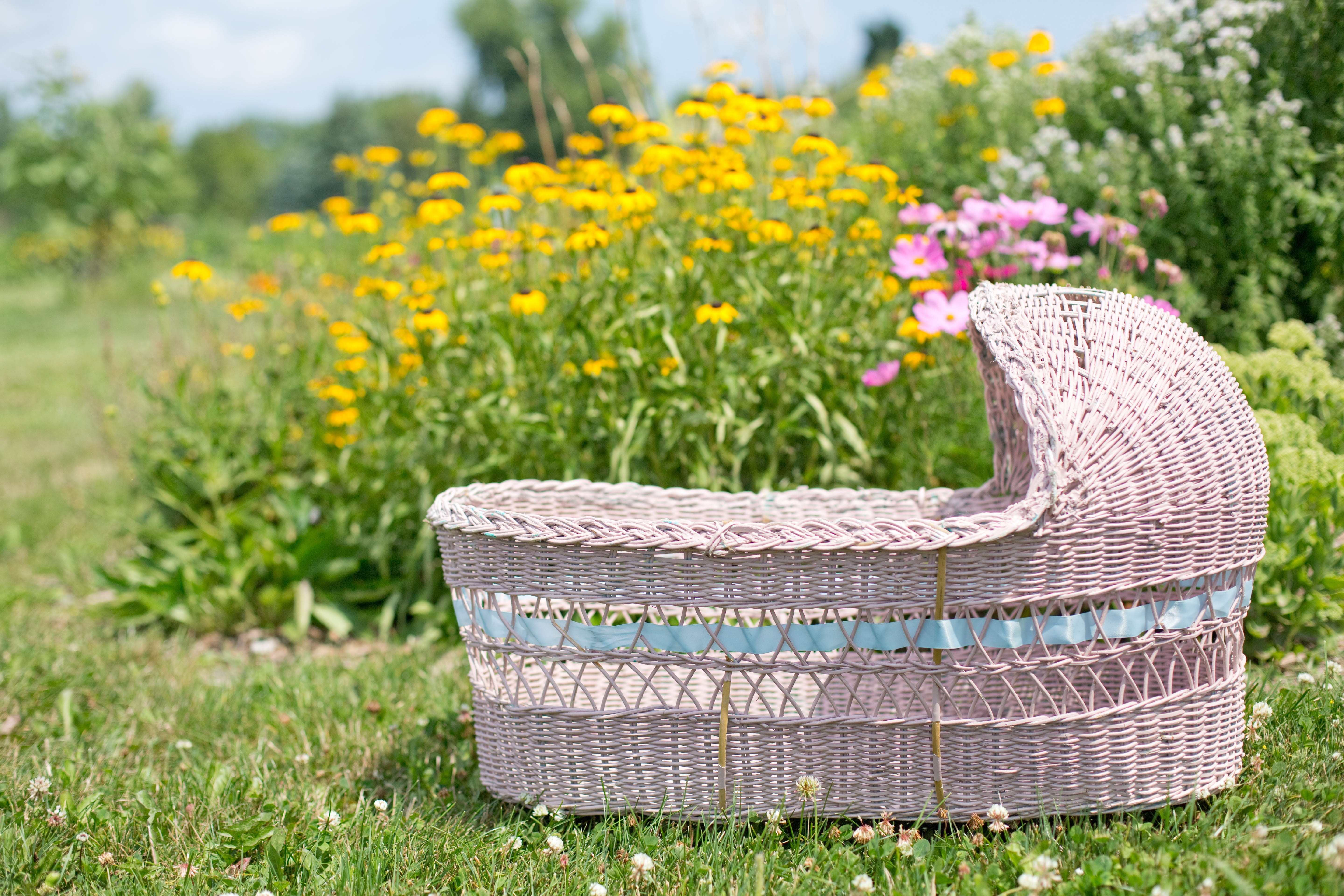 nature, close-up, selective, field, outdoors, land, growth, basket, flower, wildflowers, wild flowers, beauty in nature, freshness, no people, s, flowers, HD Wallpaper