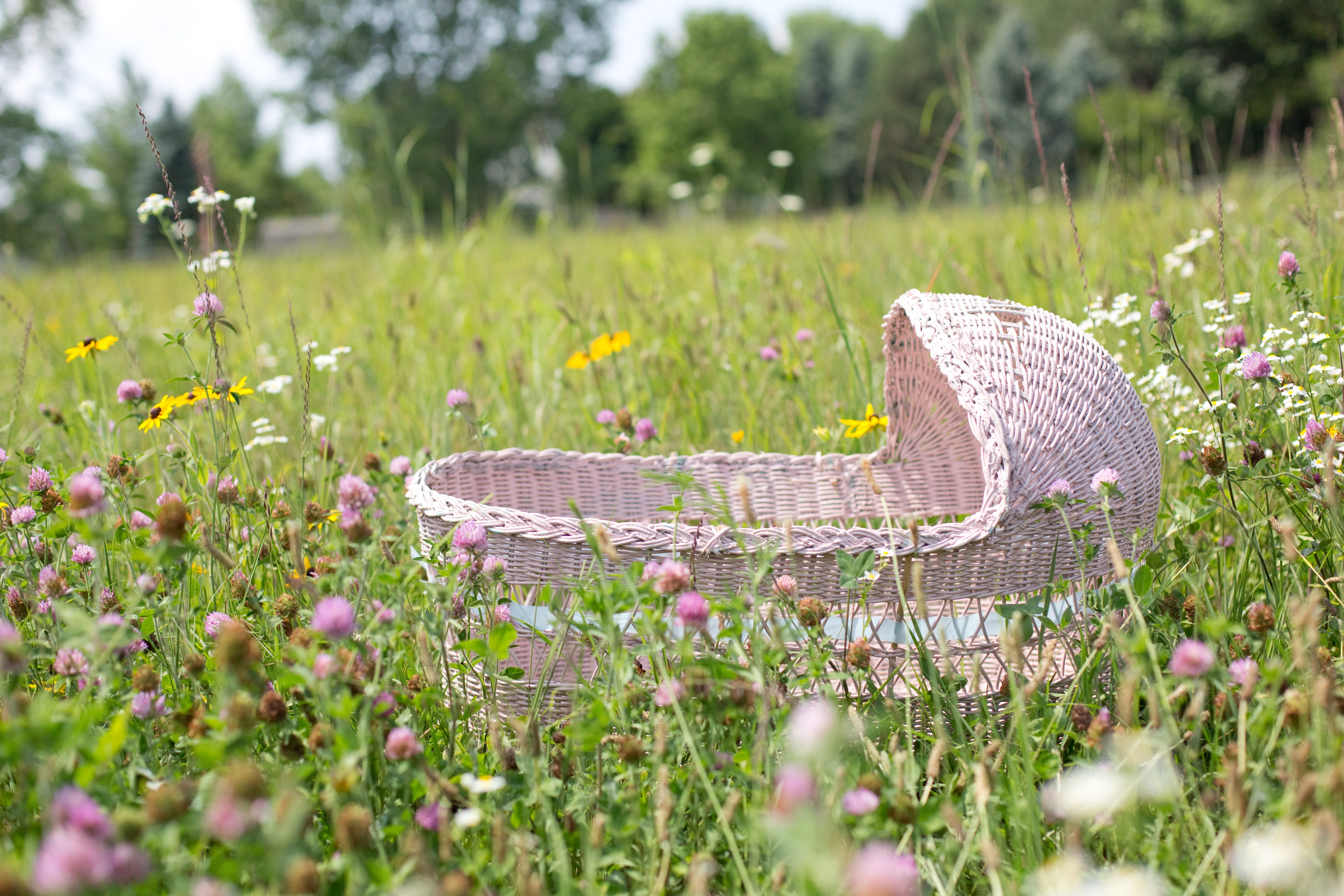 spring, land, landscape, baby bassinet, flower, flowers, freshness, meadow, no people, 5K, selective focus, basket, beauty in nature, springtime, nature, HD Wallpaper