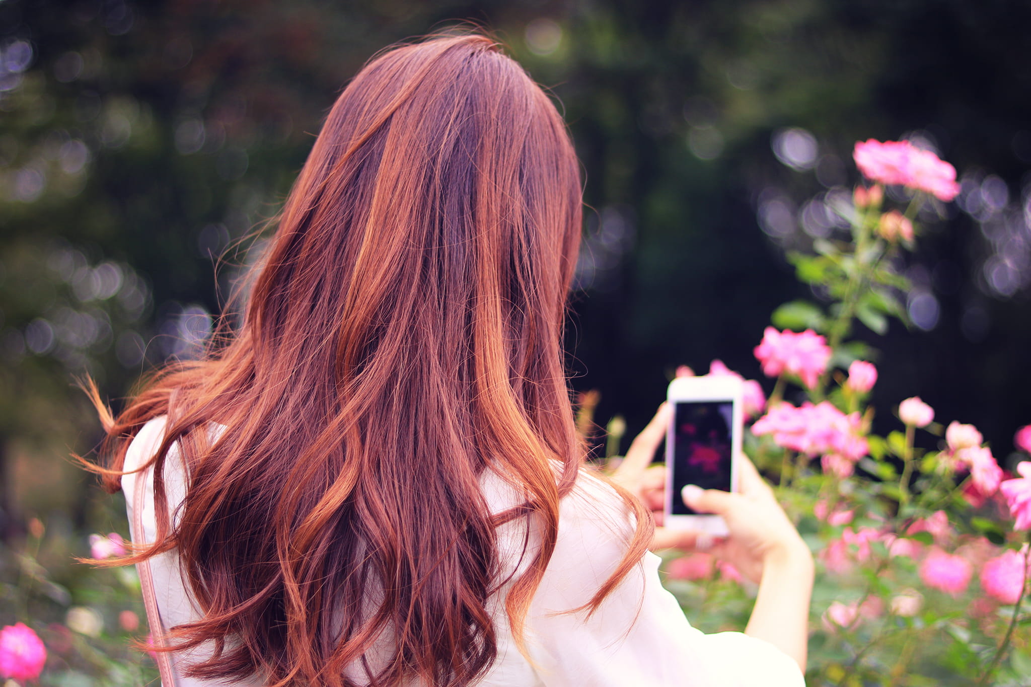 long hair, long haired, women, holding, 1080P, adult, flower, springtime, leisure activity, wireless technology, beauty In Nature, young Adult, one Person, HD Wallpaper