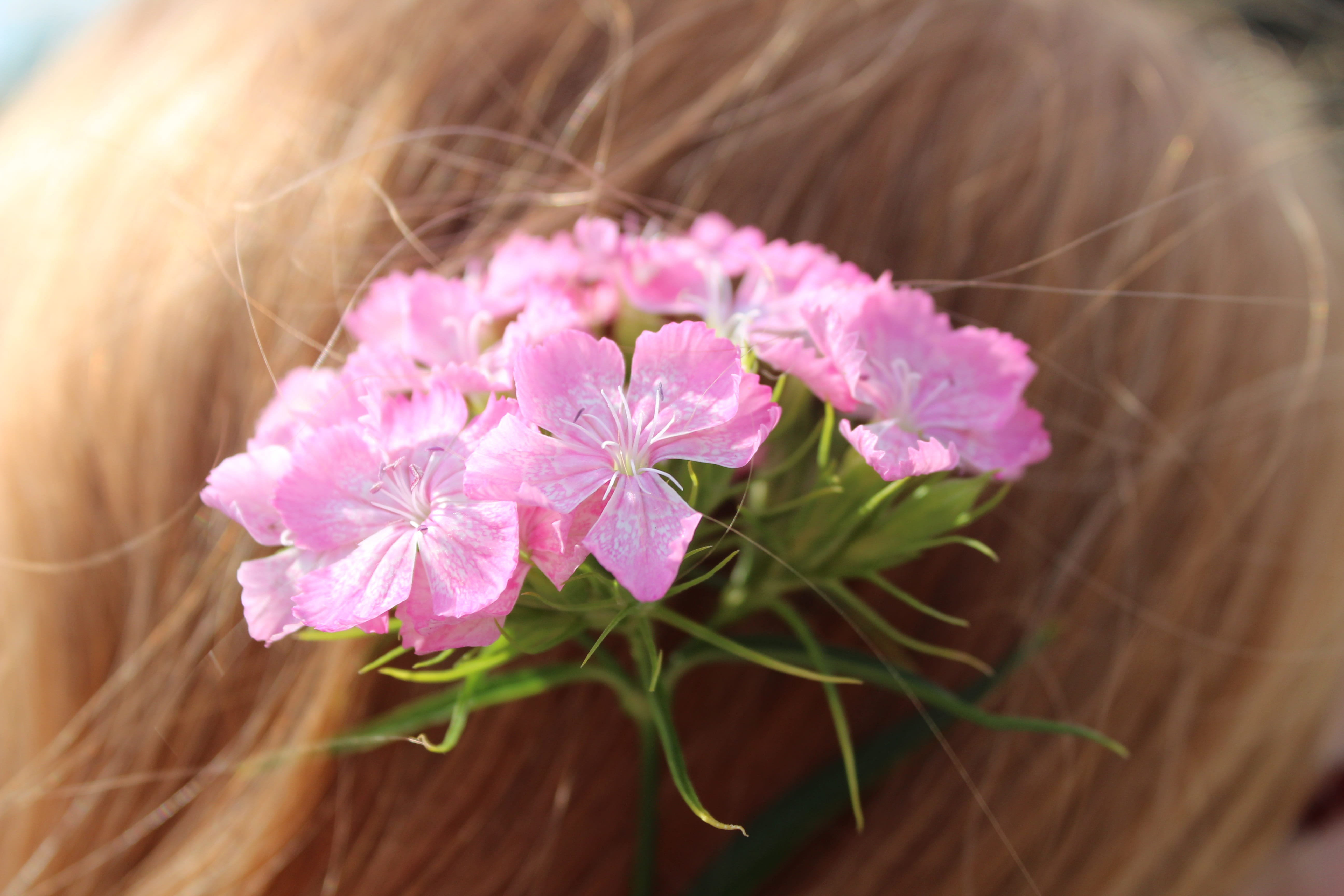 pink Color, Small, small flowers, beautiful woman, plant, human Face, beauty, children only, young Adult, purple, vulnerability, one girl only, Flowers, HD Wallpaper