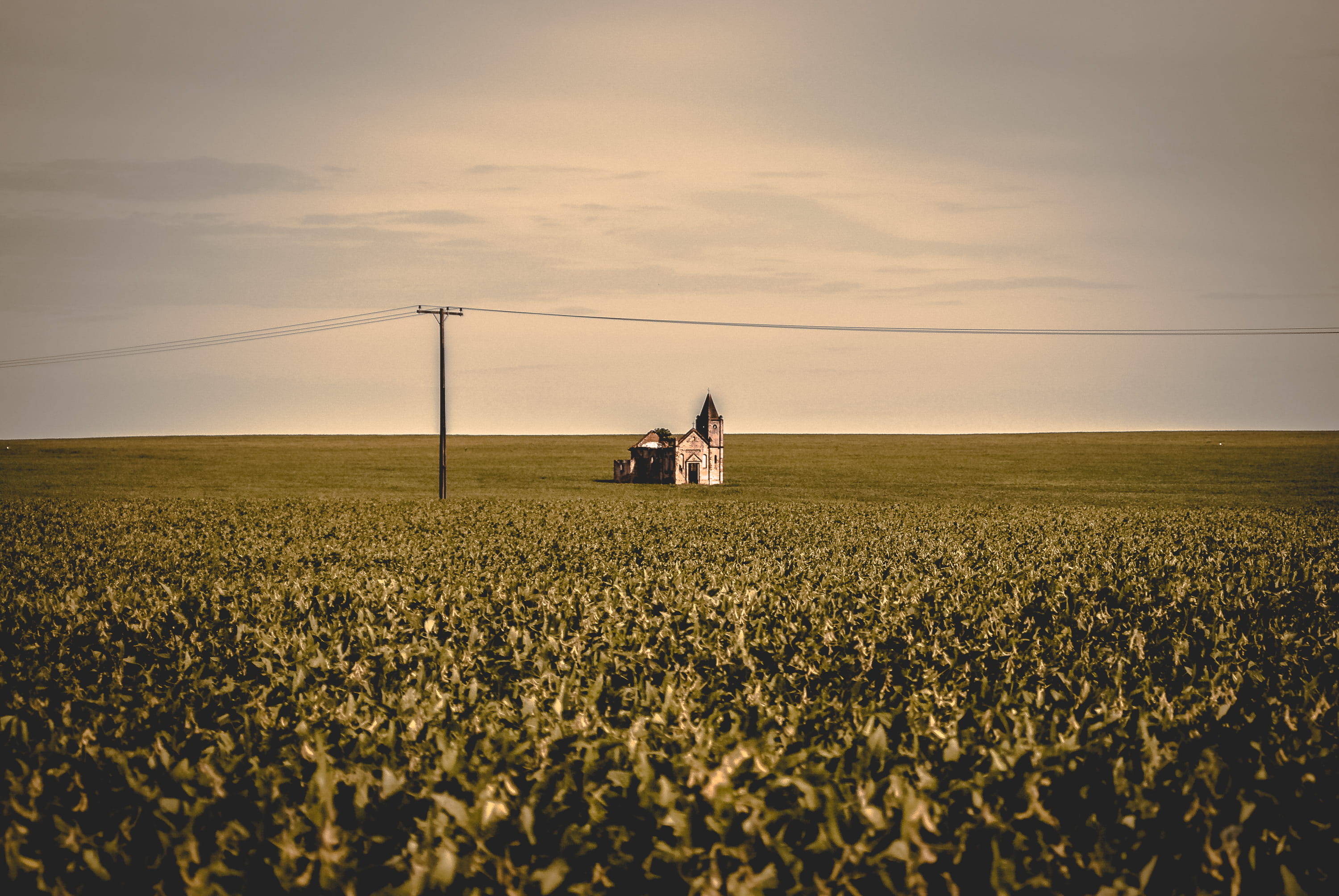 2K, agriculture, cloud - sky, rural scene, land, crop, growth, sky, sussuí, church, igreja, cereal plant, nature, ruins, serjosoza, horizon, field, tranquility, HD Wallpaper
