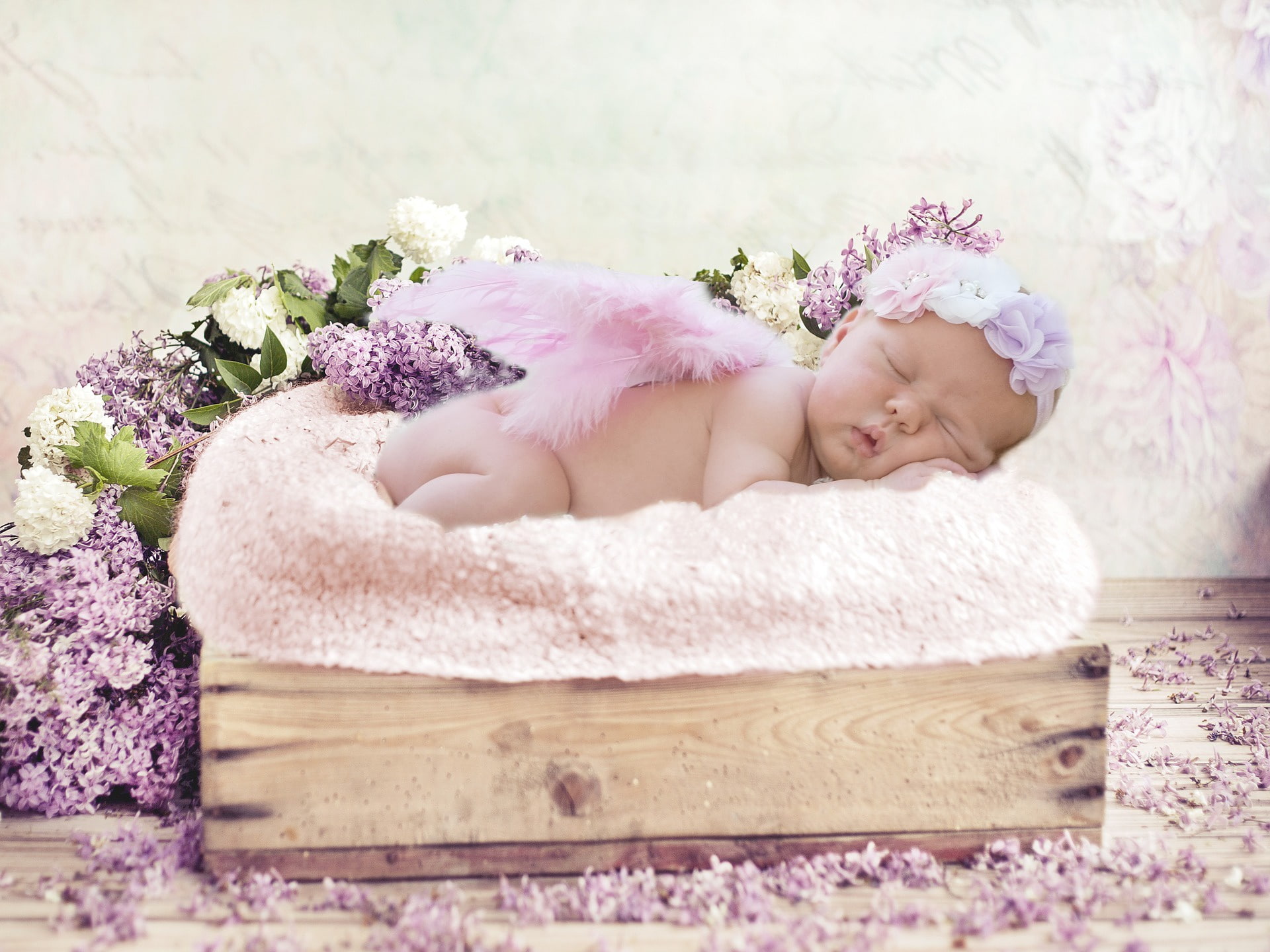 beautiful, flowers, joy, beauty, romance, newburn, 1080P, baby, child, photoshoot, HD Wallpaper