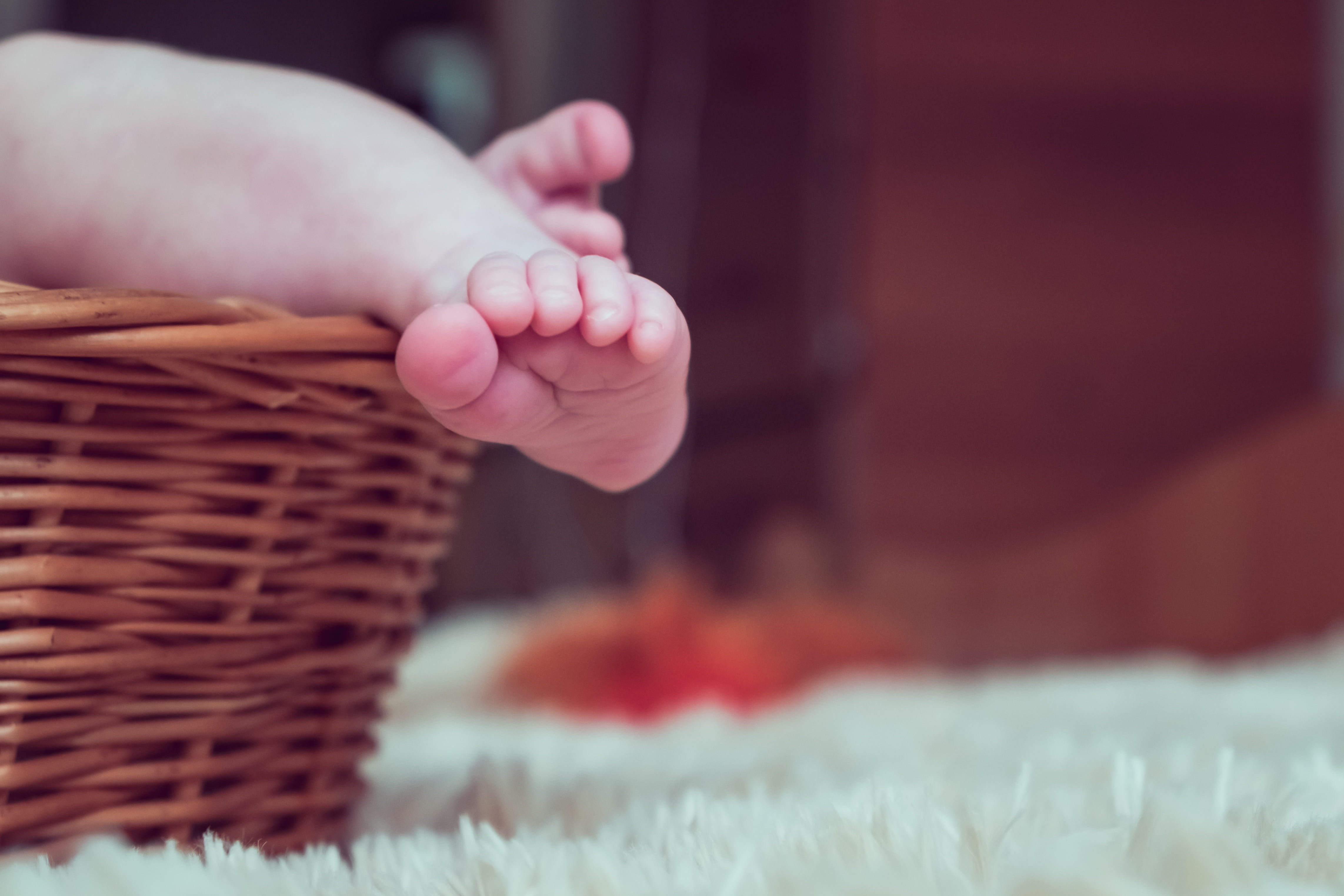 hand, softness, photographing children, basket, kids, babe, family, brown, 4K, body part, close-up, human limb, nicely, human hand, human body part, childhood, HD Wallpaper