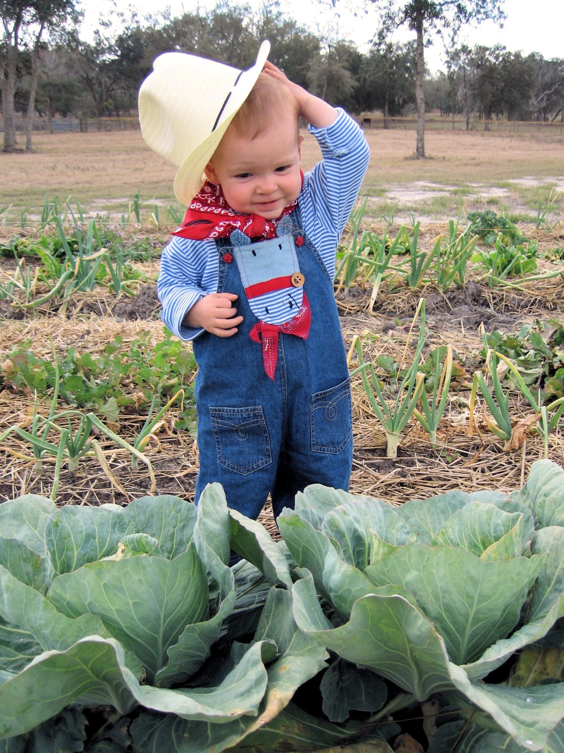 casual clothing, rural, happy, wearing, young, agriculture, people, farmer, child, smile, outdoors, day, cabbage, portrait, near, farm, s, hat, plant, childhood, Phone HD Wallpaper